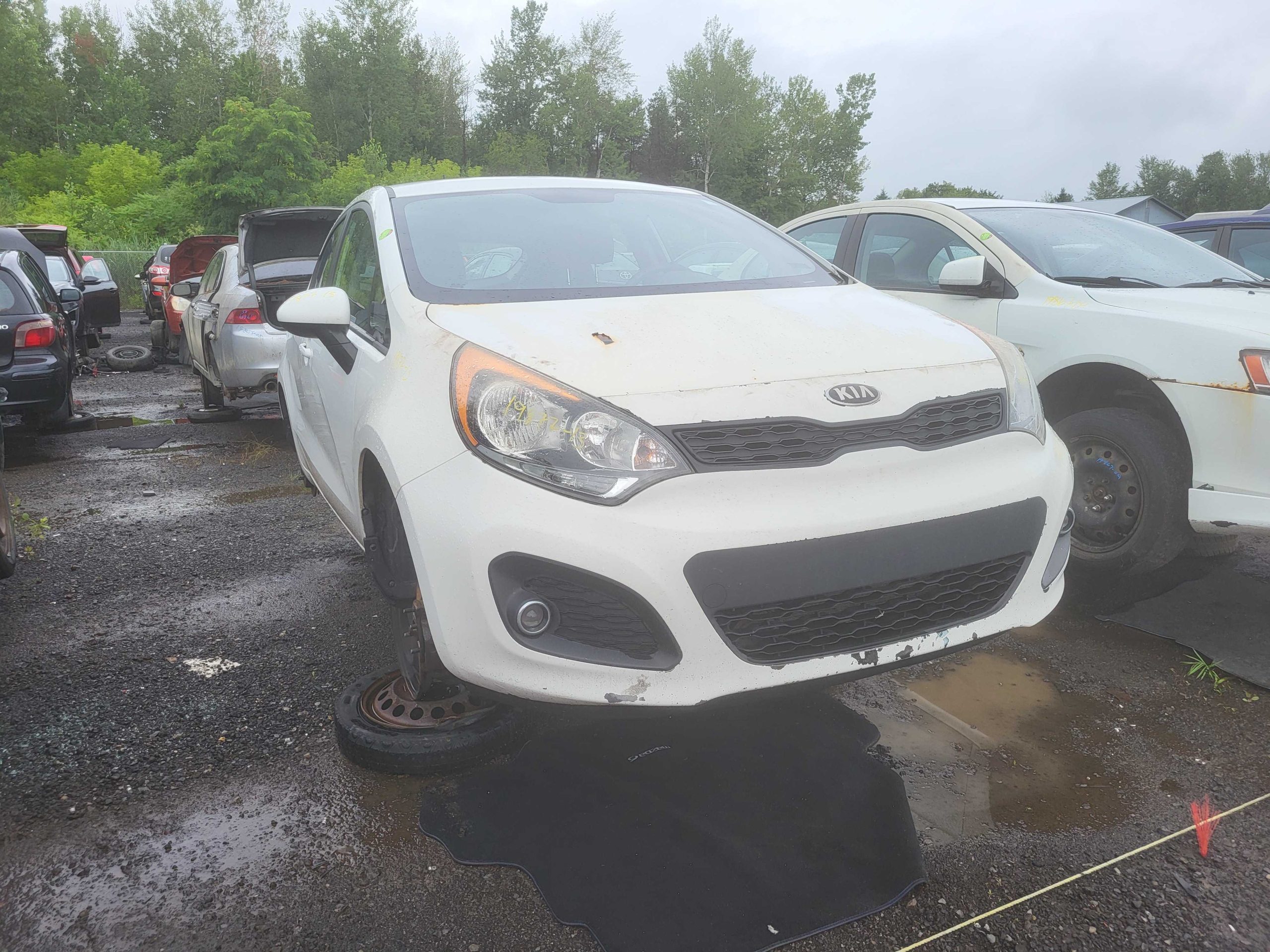 KIA RIO 2013