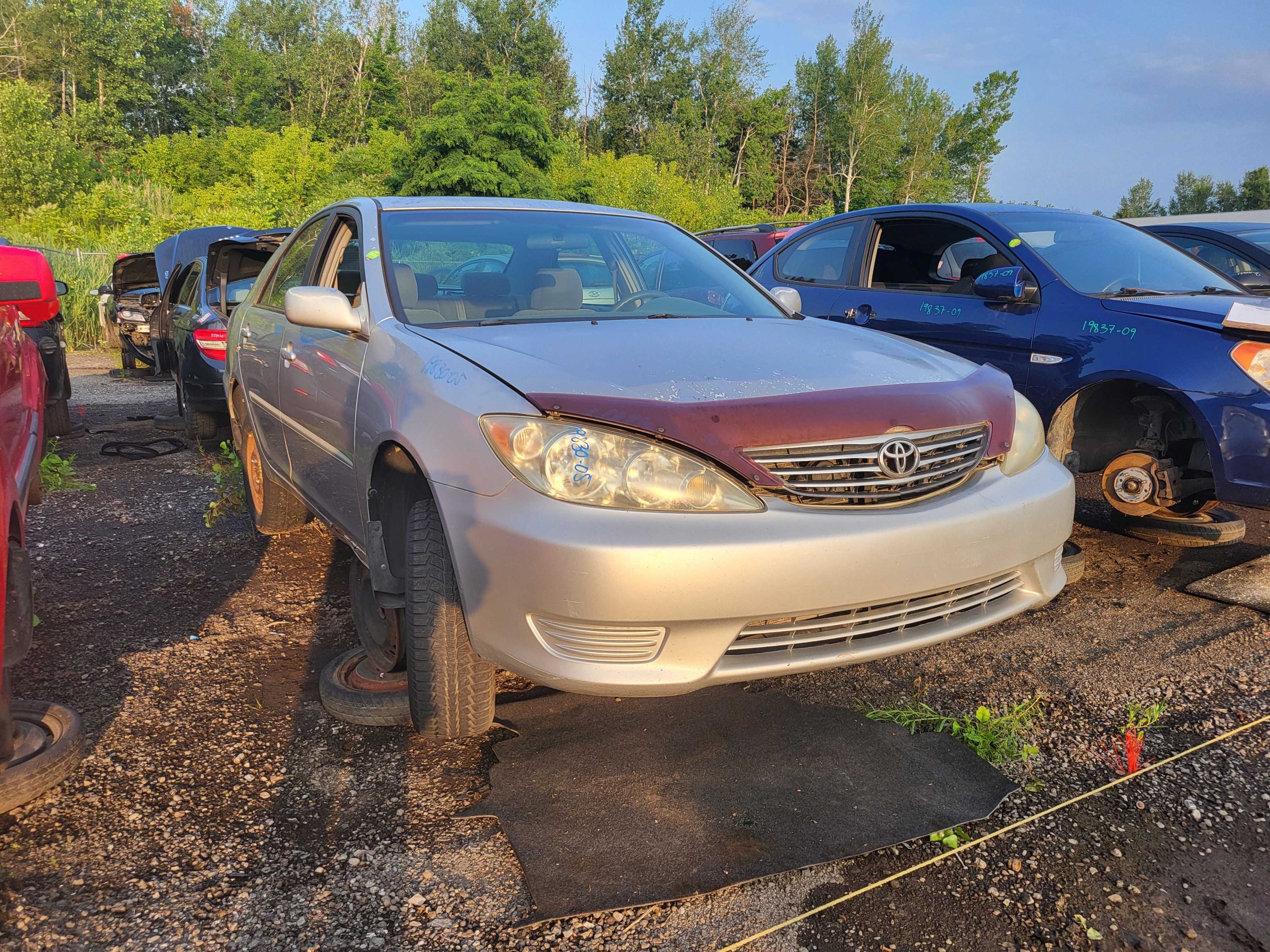 TOYOTA CAMRY 2005