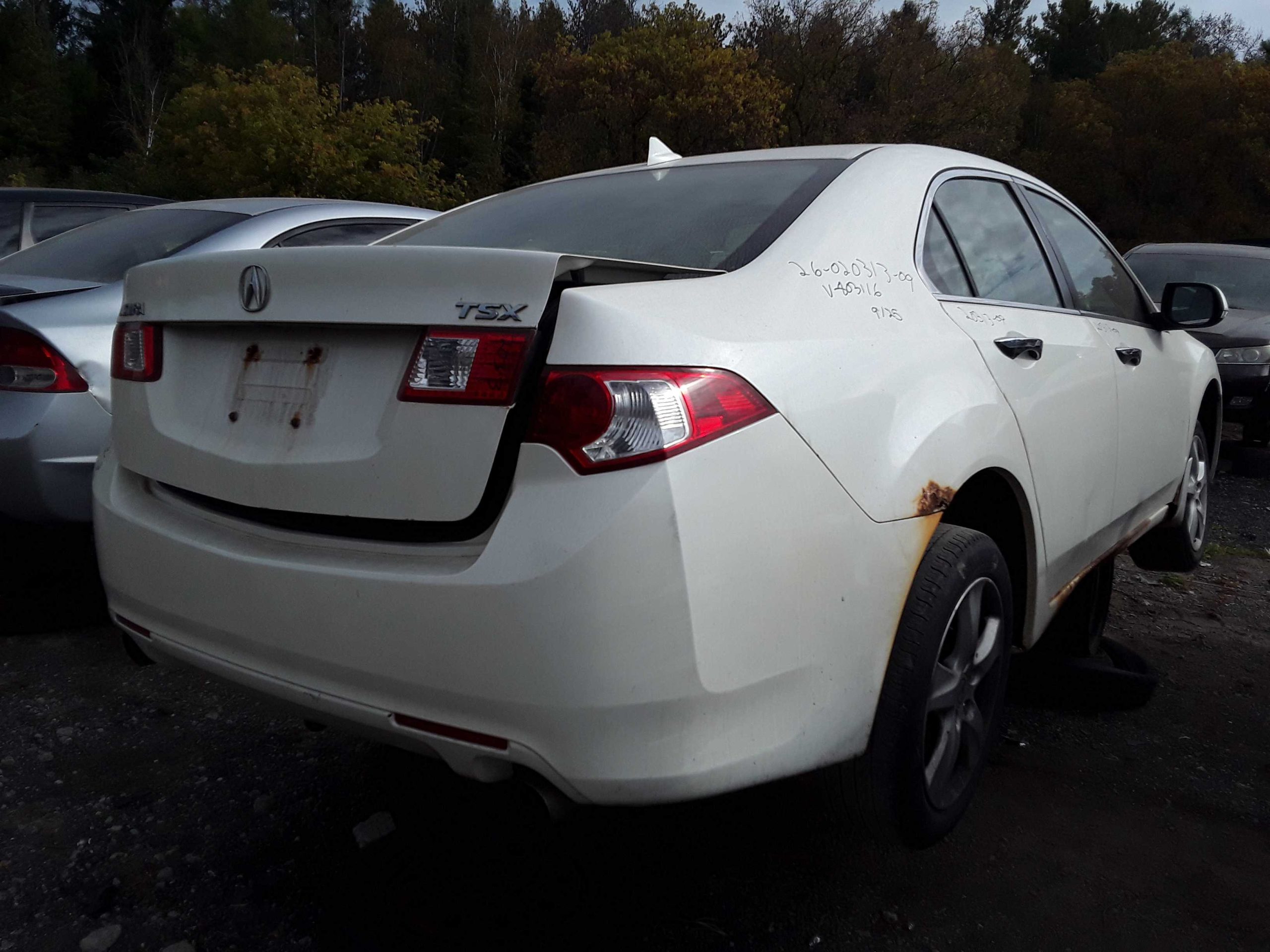 ACURA TSX 2009
