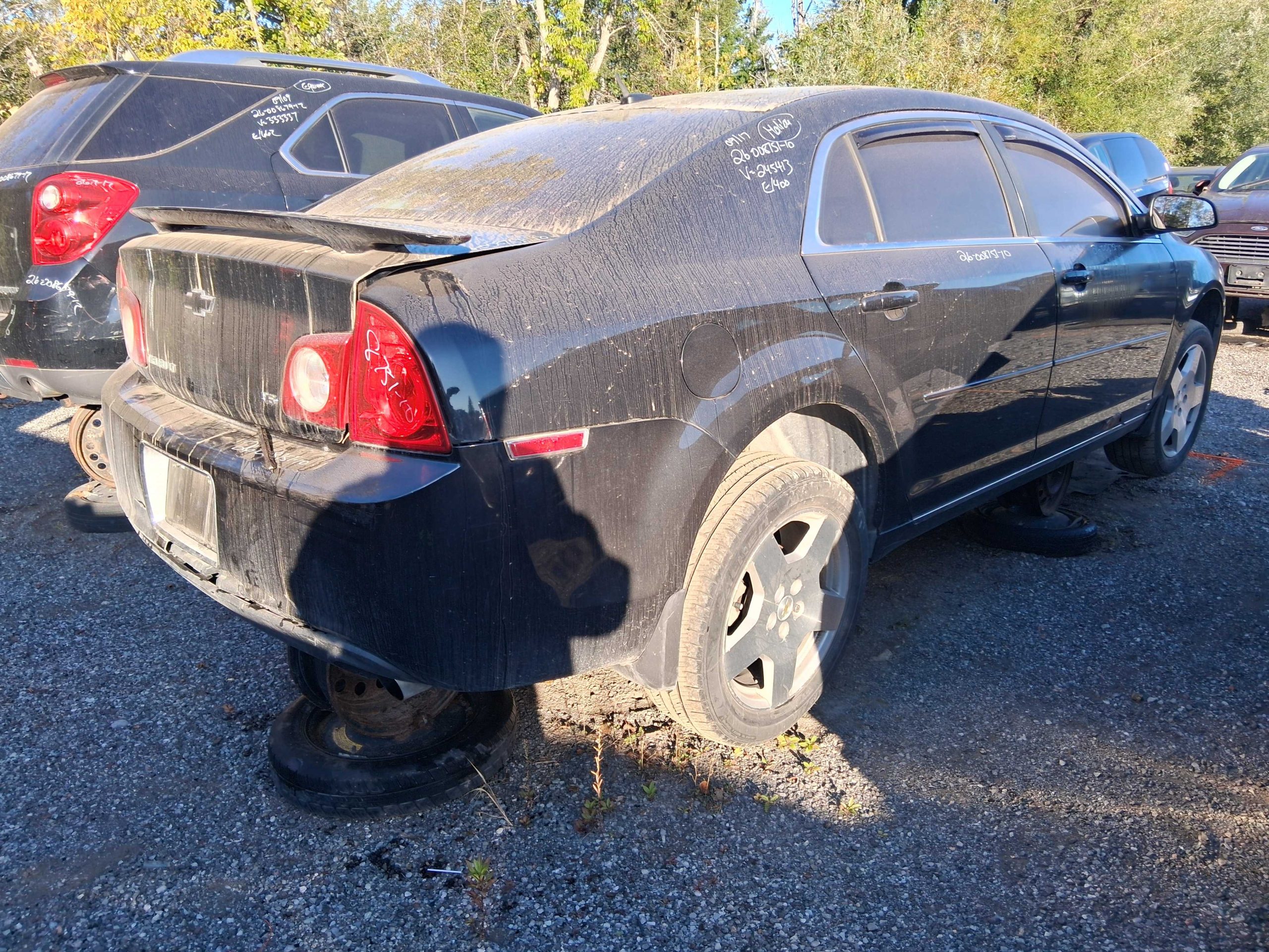 CHEVROLET MALIBU 2010