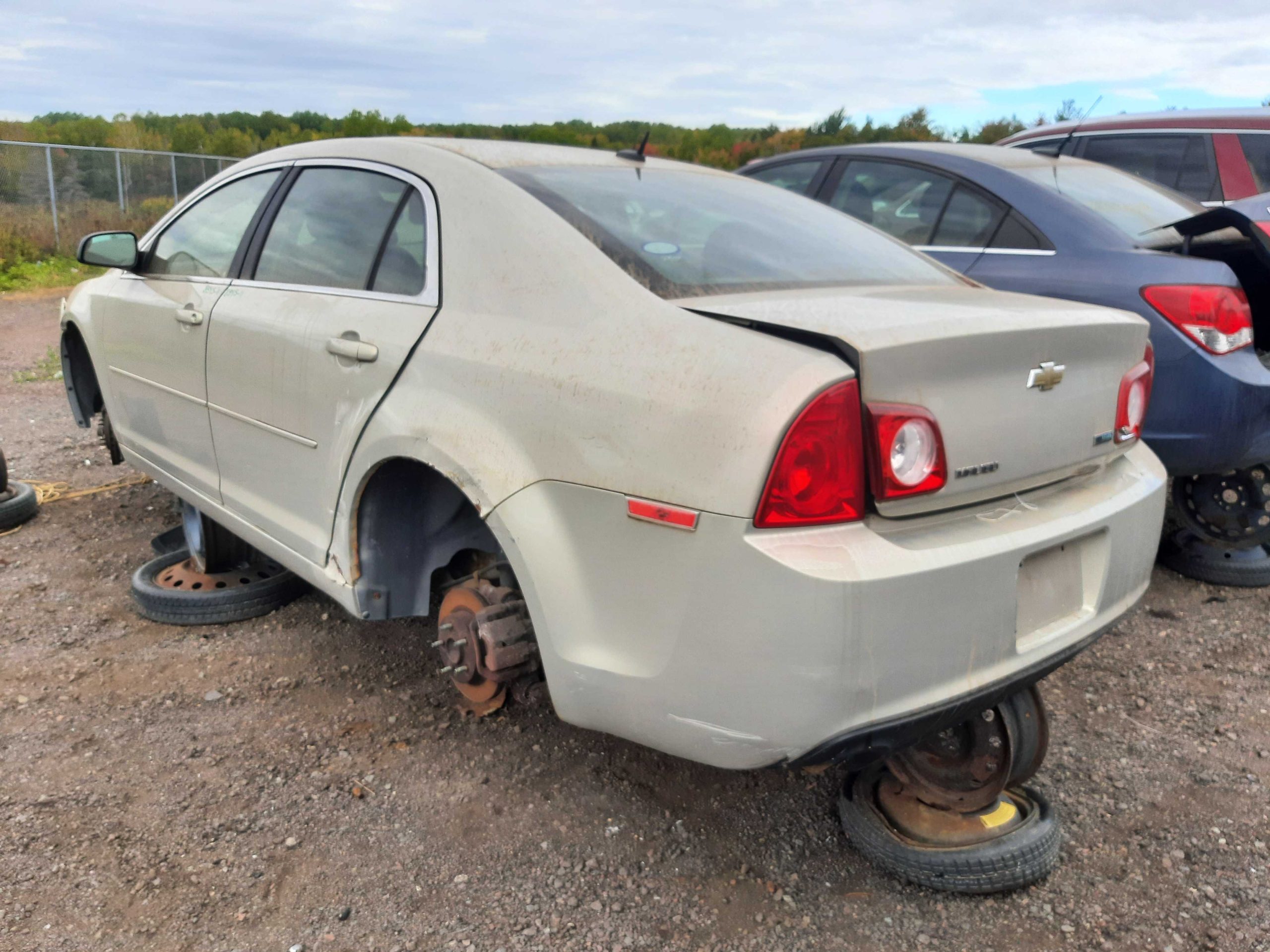 CHEVROLET MALIBU 2011