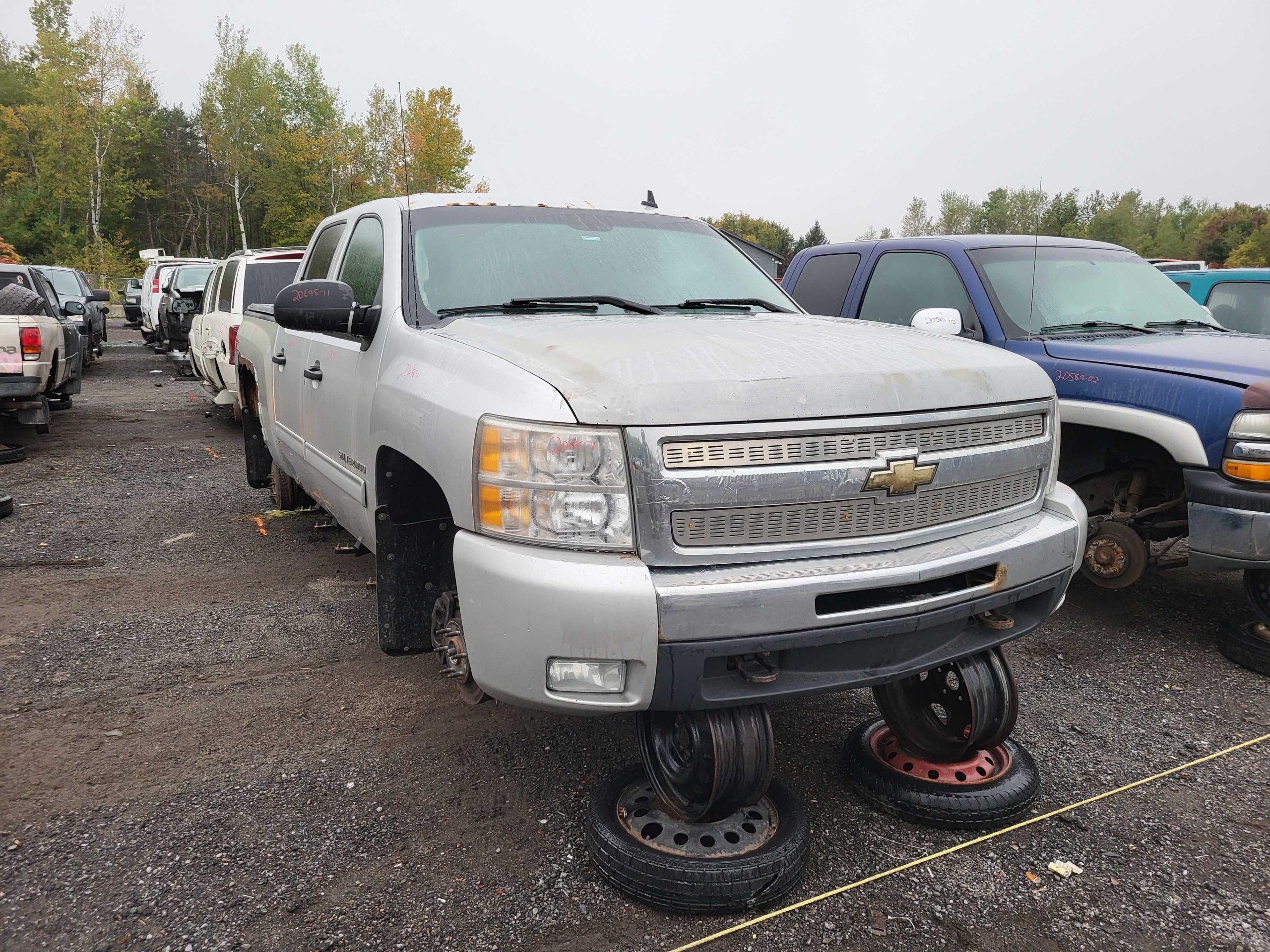 CHEVROLET SILVERADO 1500 2011
