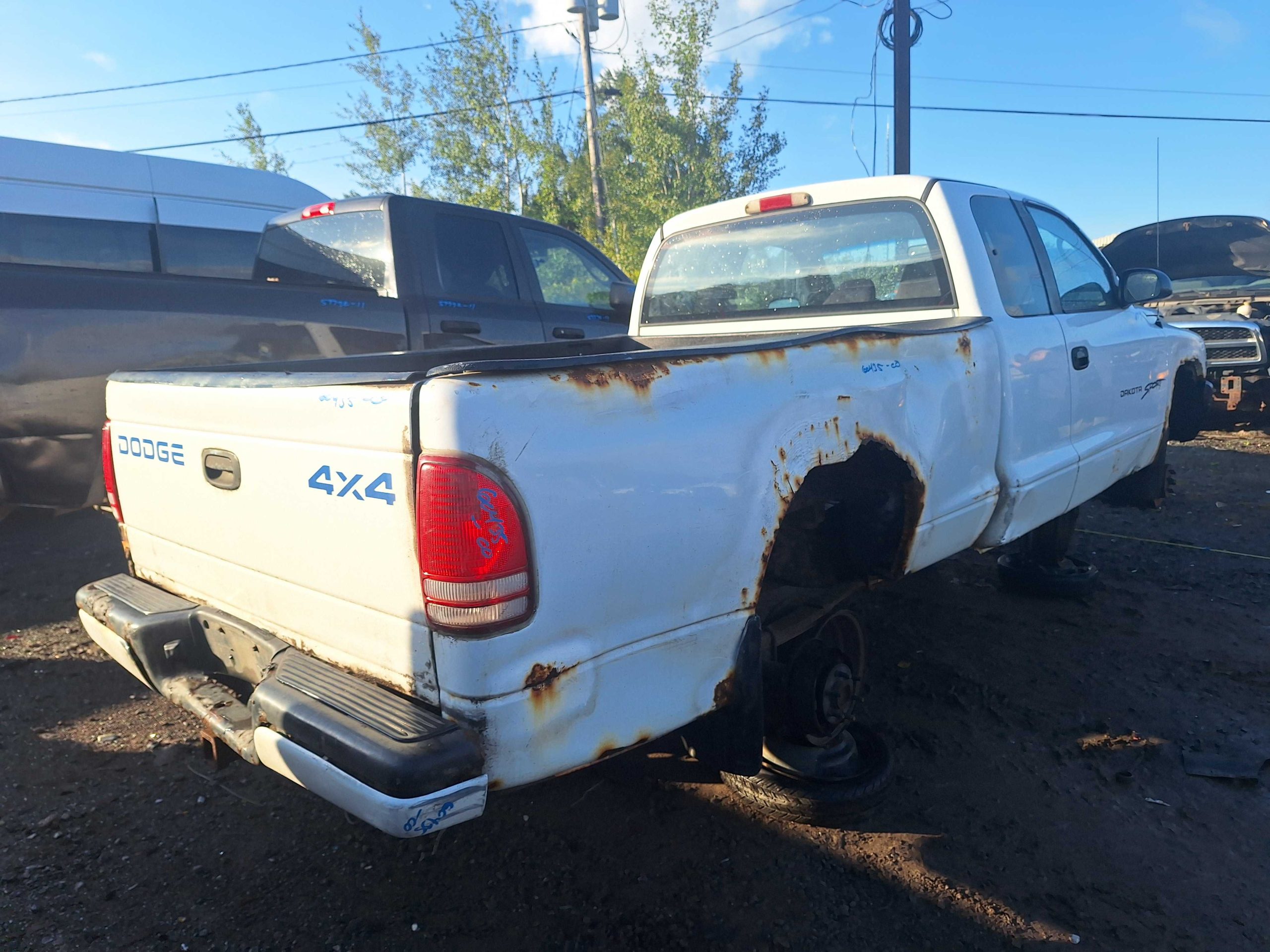 DODGE DAKOTA 2000