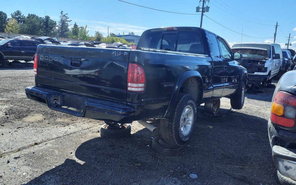 DODGE DAKOTA 2000