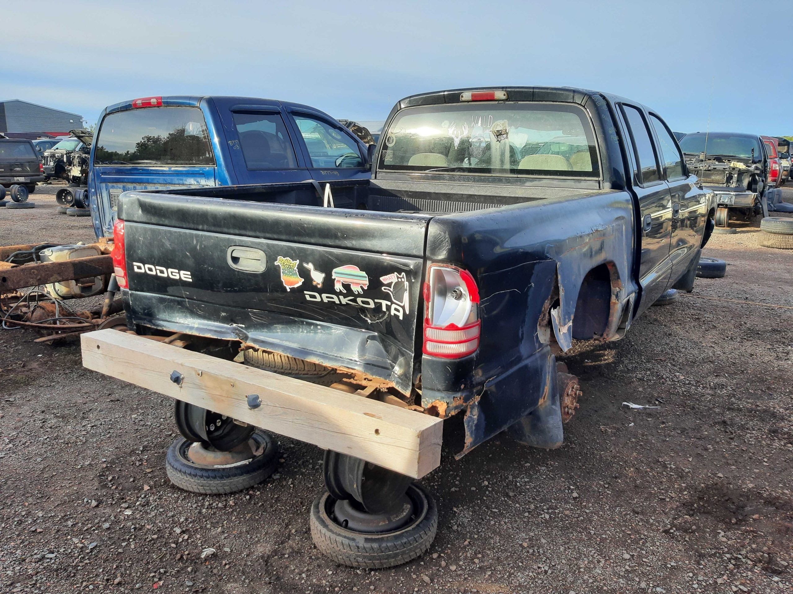 DODGE DAKOTA 2003