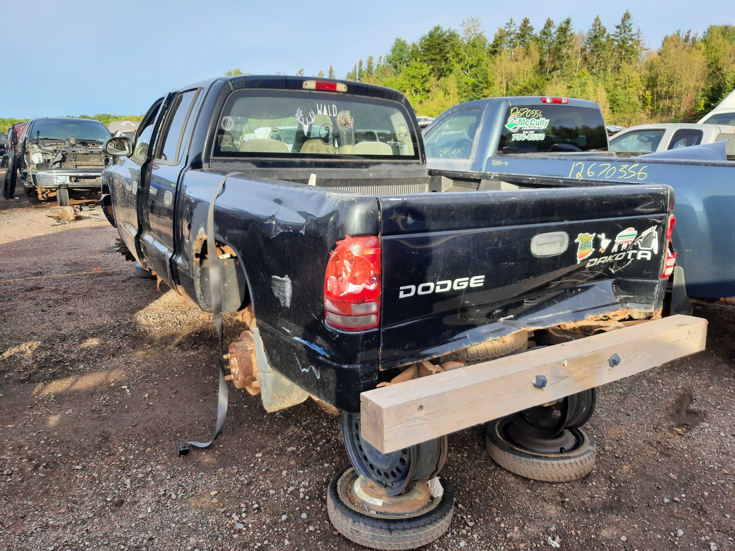 DODGE DAKOTA 2003