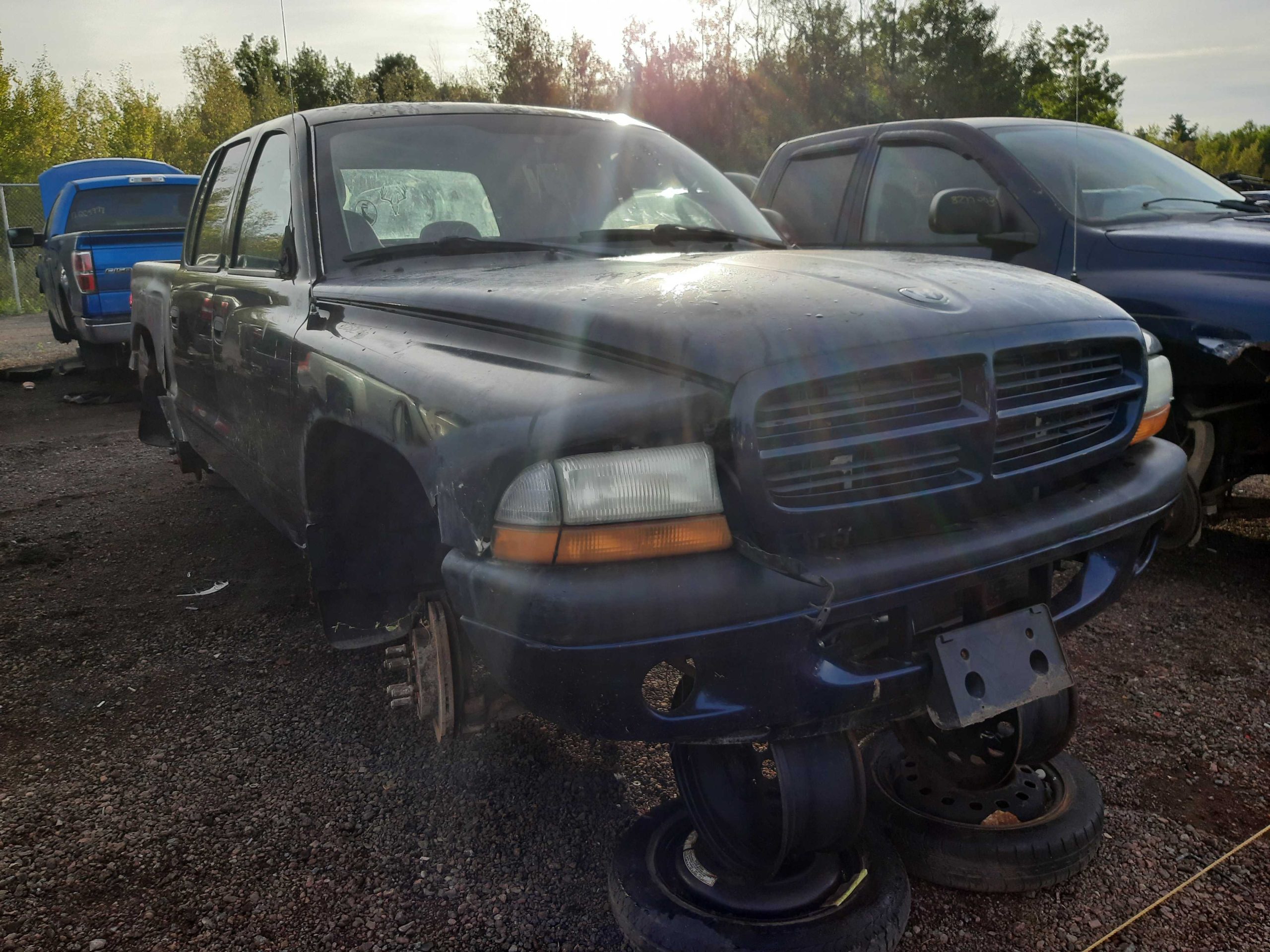 DODGE DAKOTA 2003
