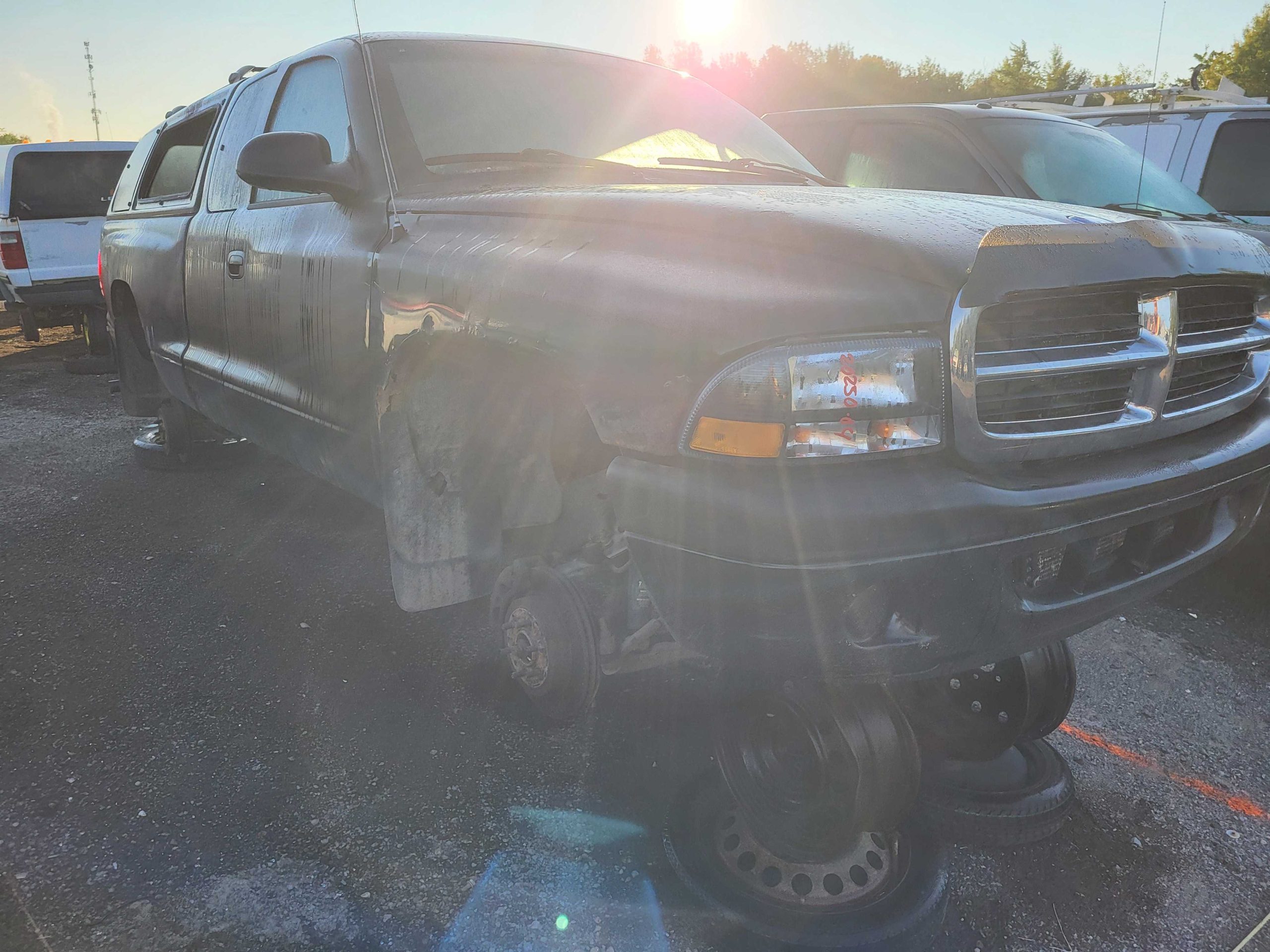 DODGE DAKOTA 2004