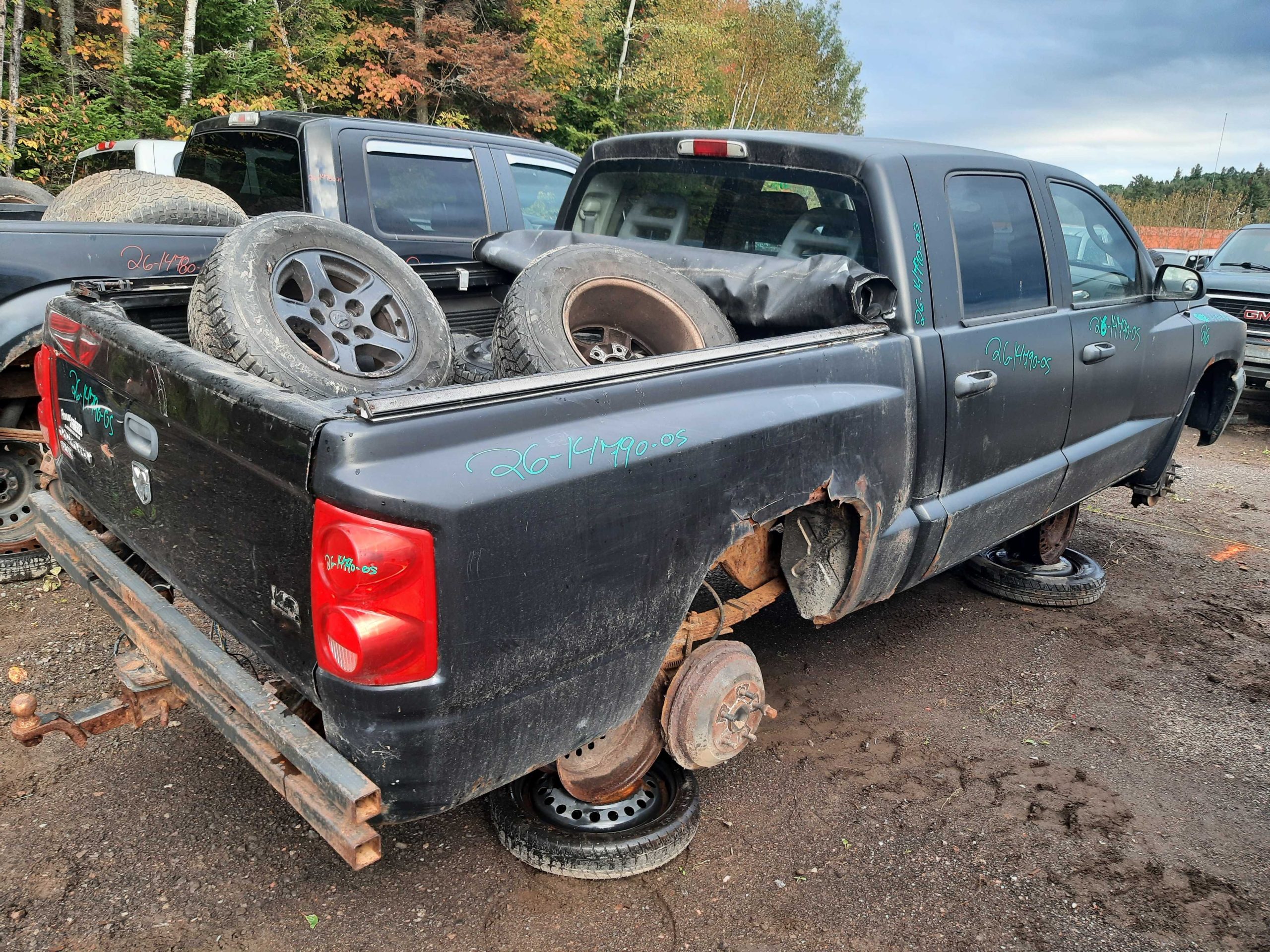 DODGE DAKOTA 2005