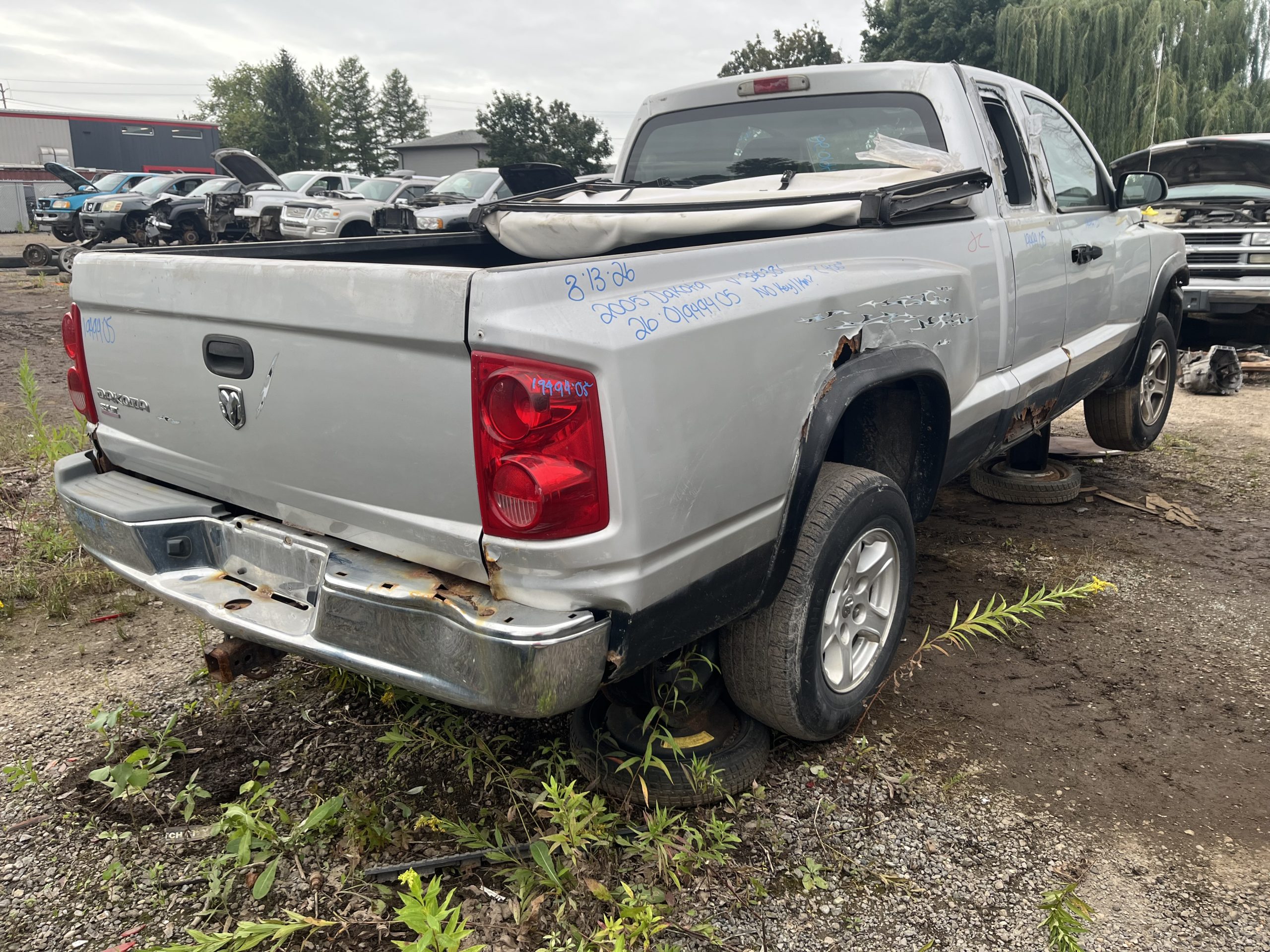 DODGE DAKOTA 2005