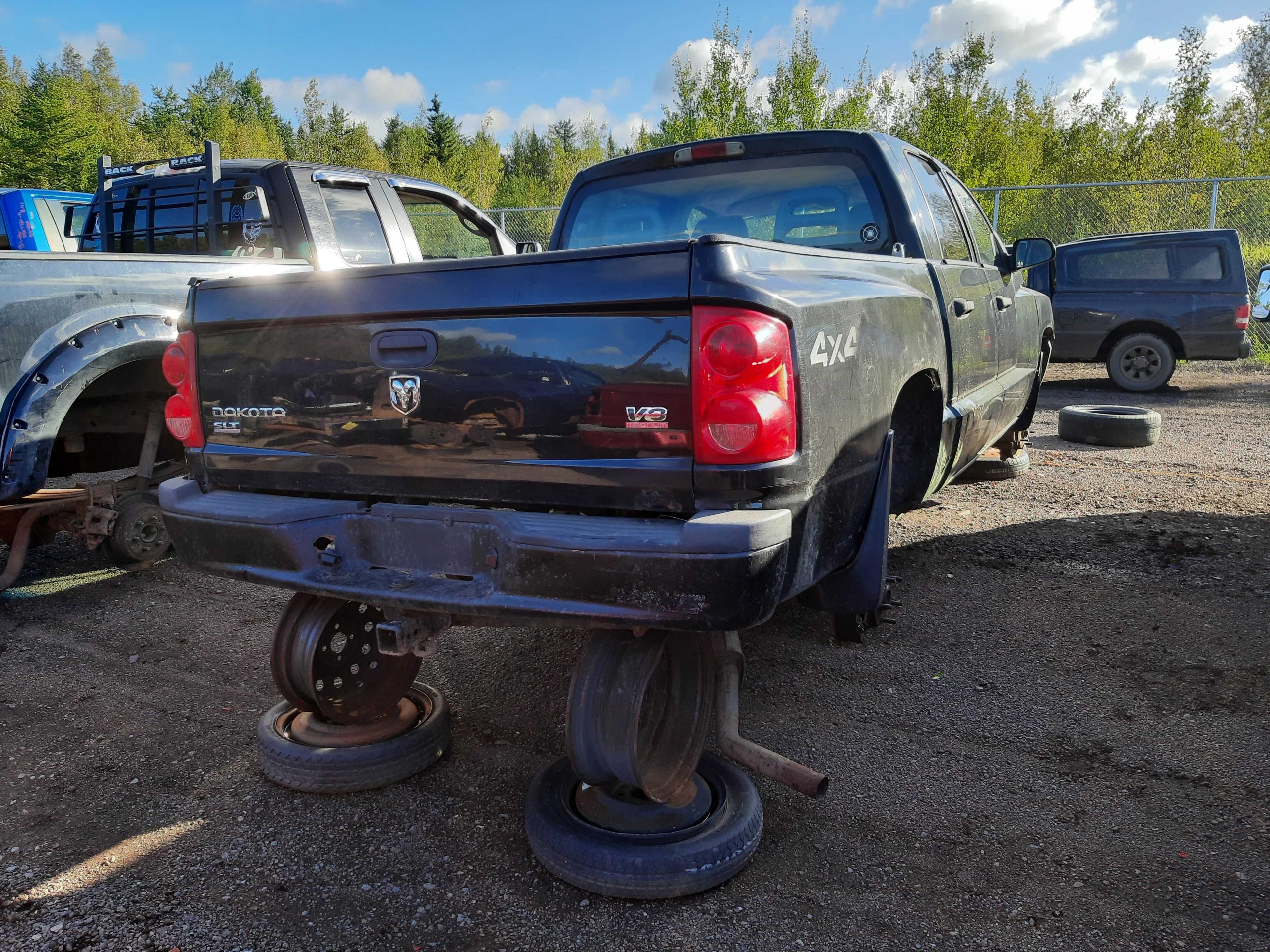 DODGE DAKOTA 2007