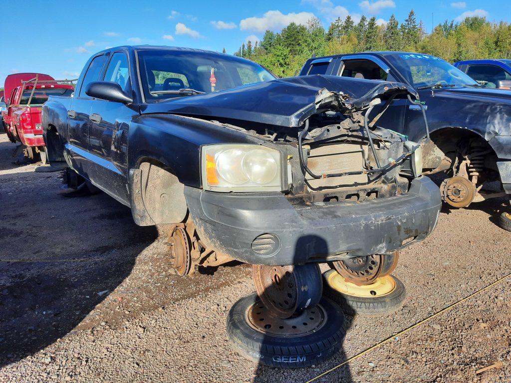 DODGE DAKOTA 2007