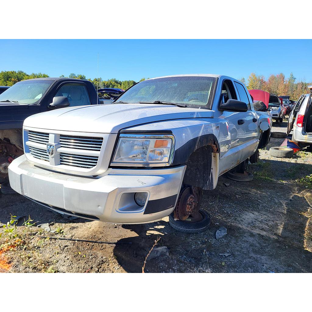 DODGE DAKOTA 2010