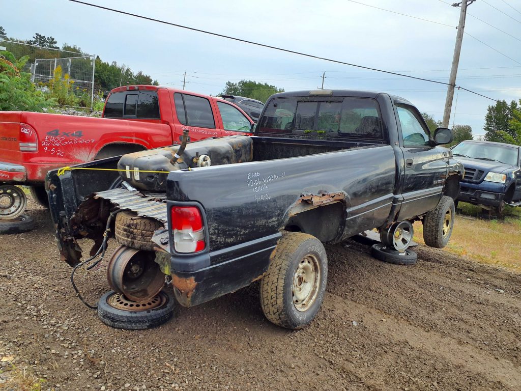 DODGE RAM 1500 2001