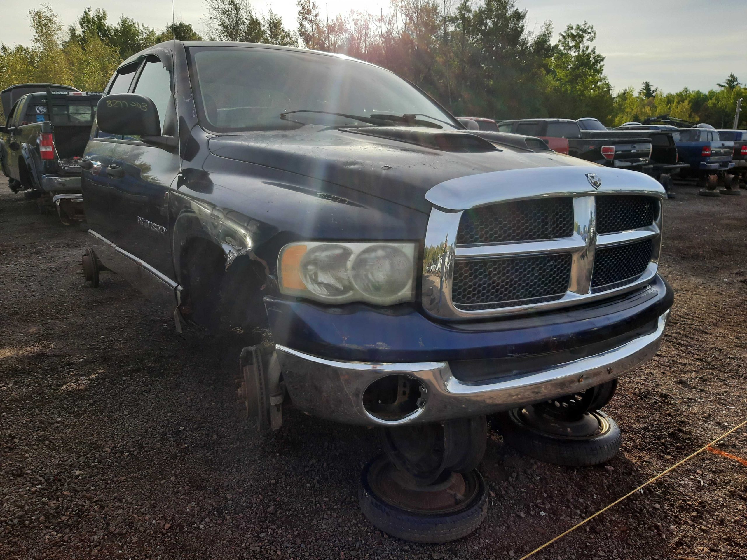 DODGE RAM 1500 2003