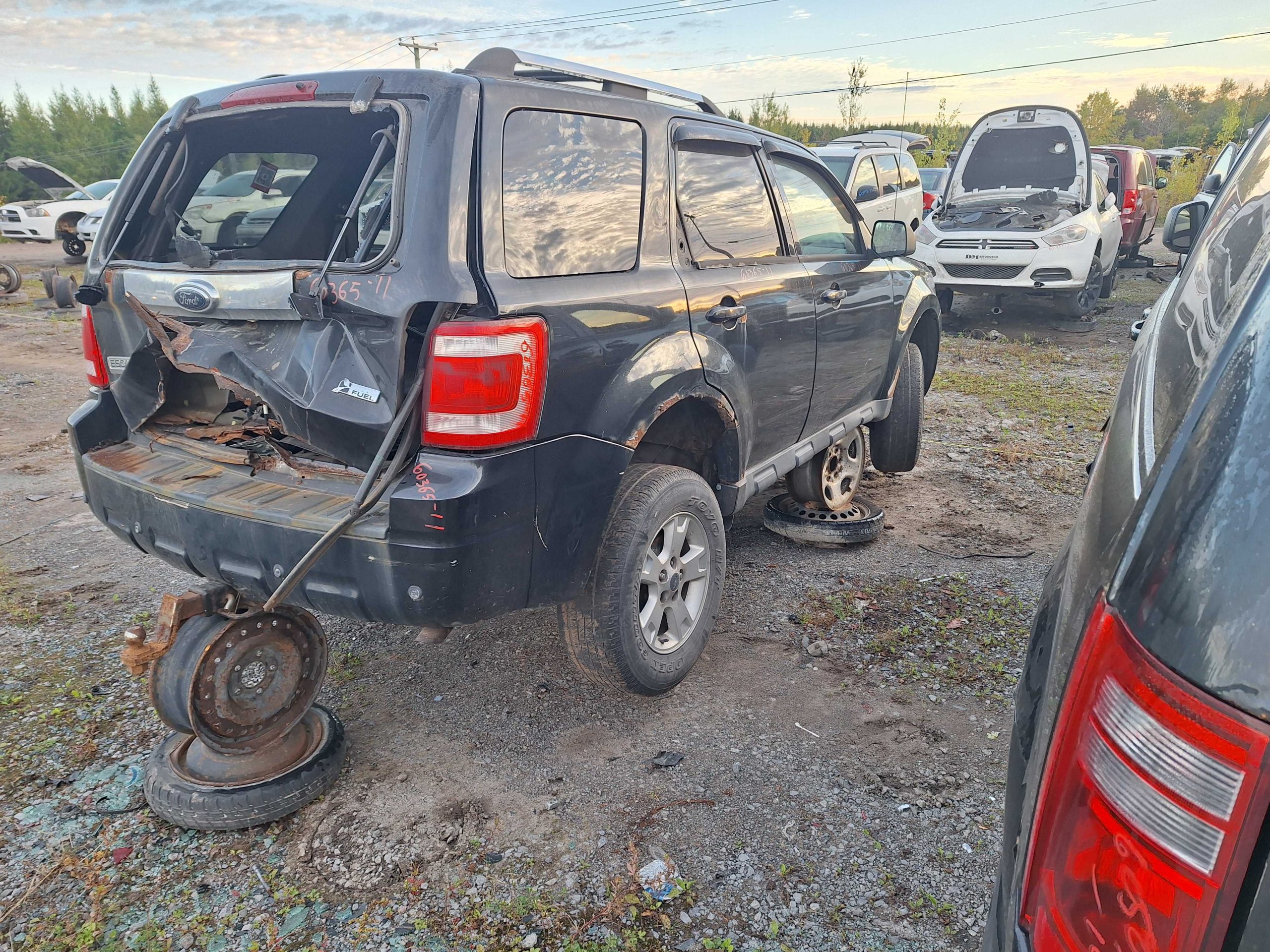 FORD ESCAPE 2011