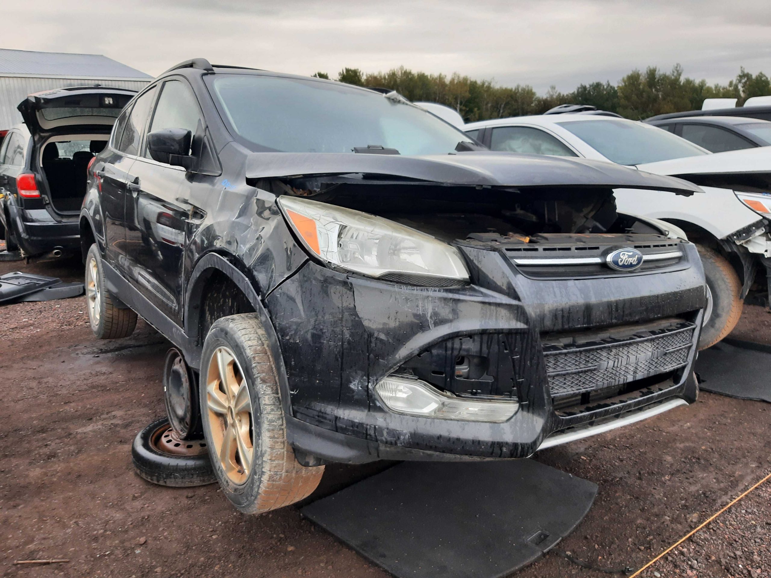 FORD ESCAPE 2013