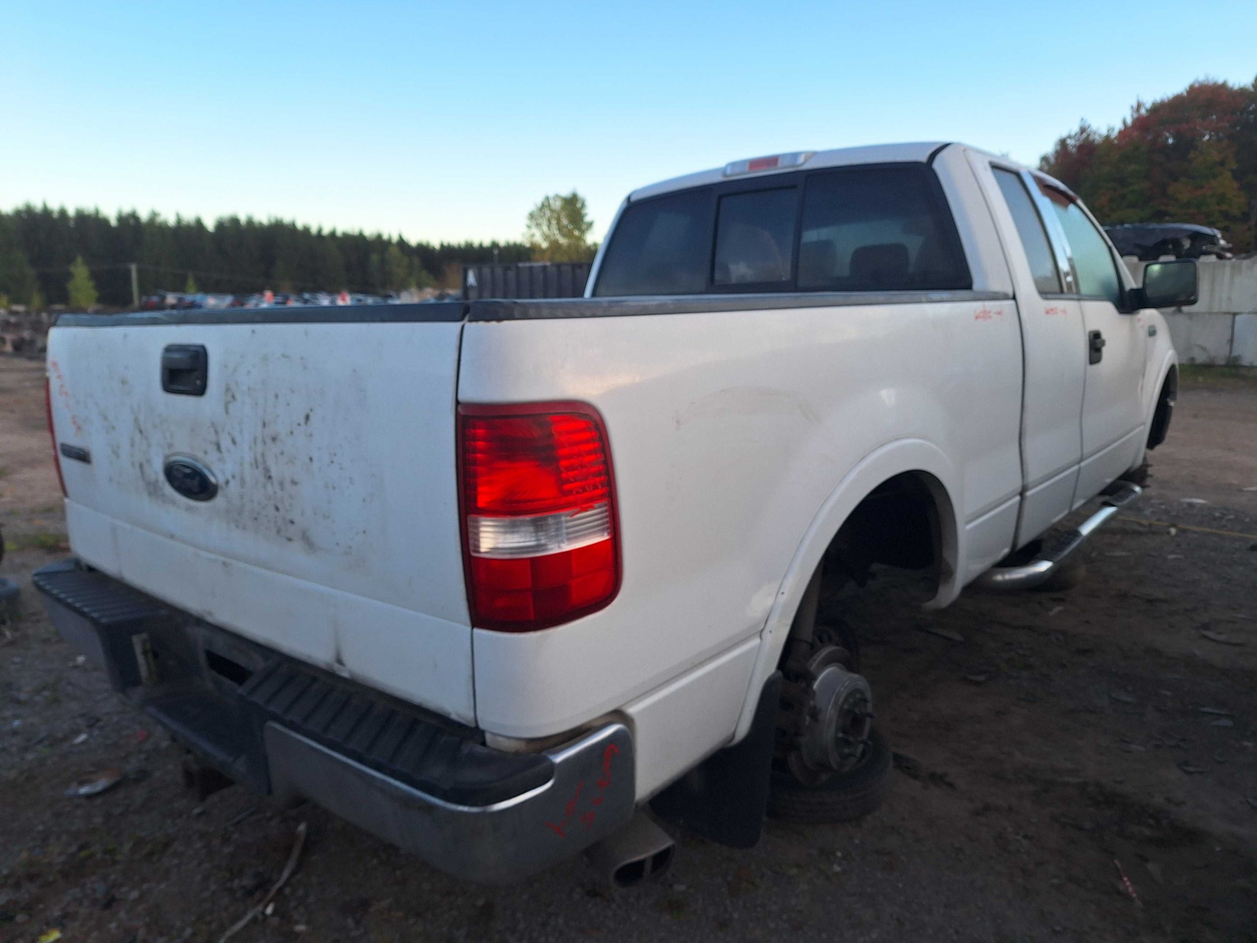 FORD F-150 2004
