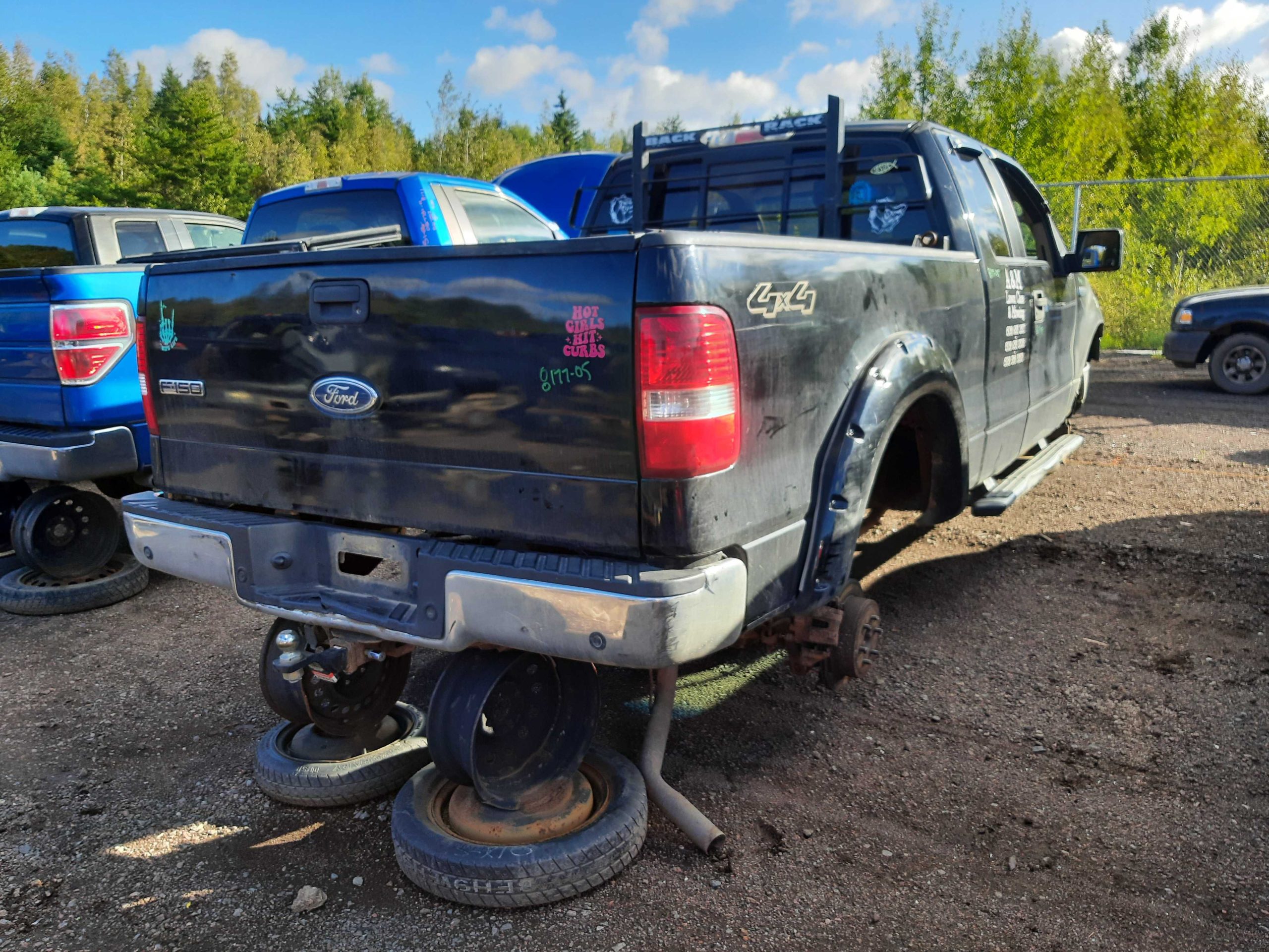 FORD F-150 2005