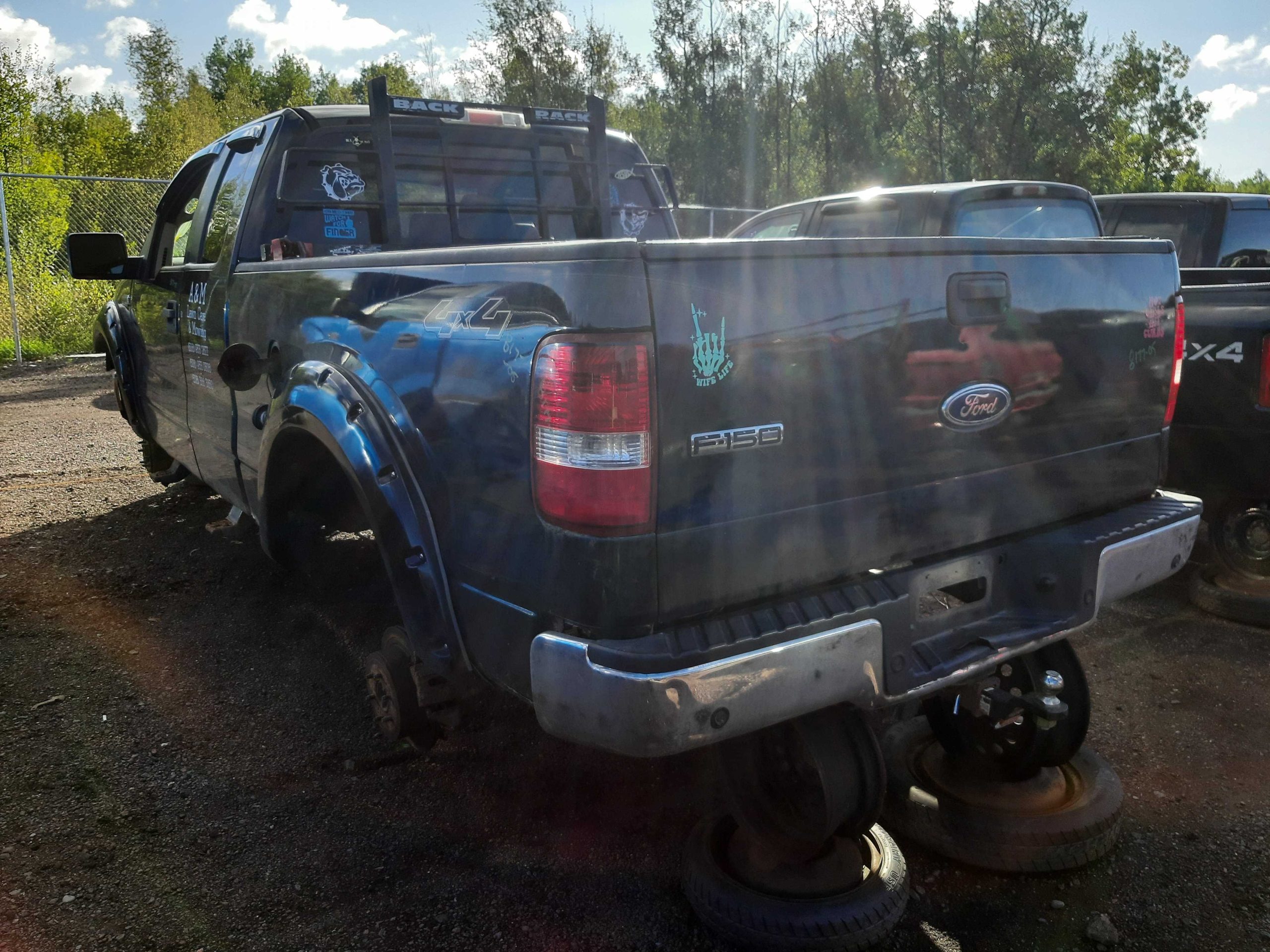 FORD F-150 2005