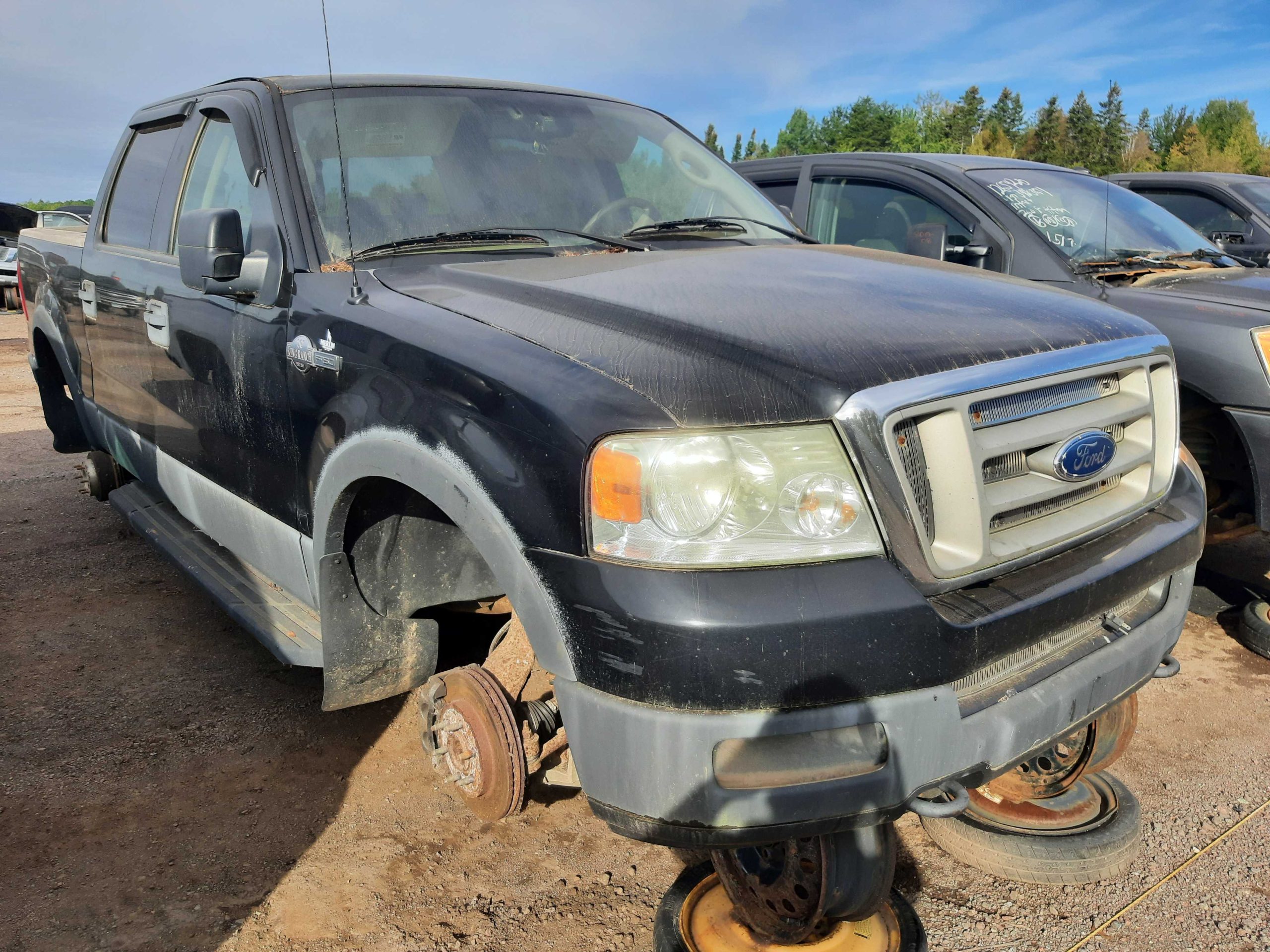 FORD F-150 2005