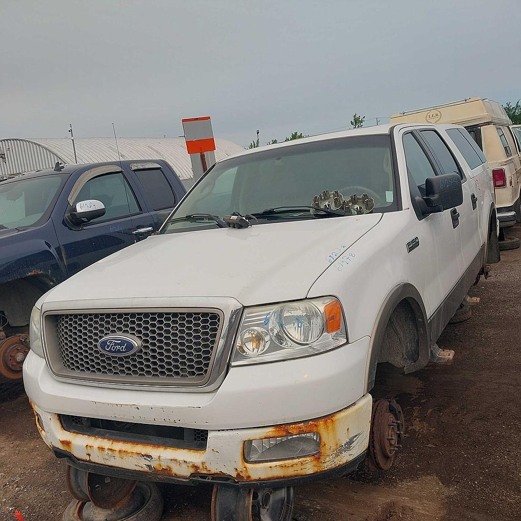 FORD F-150 2005