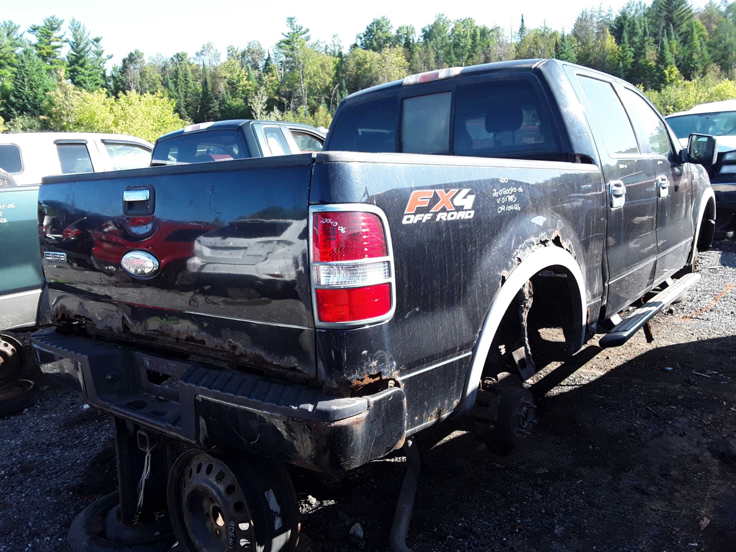 FORD F-150 2006