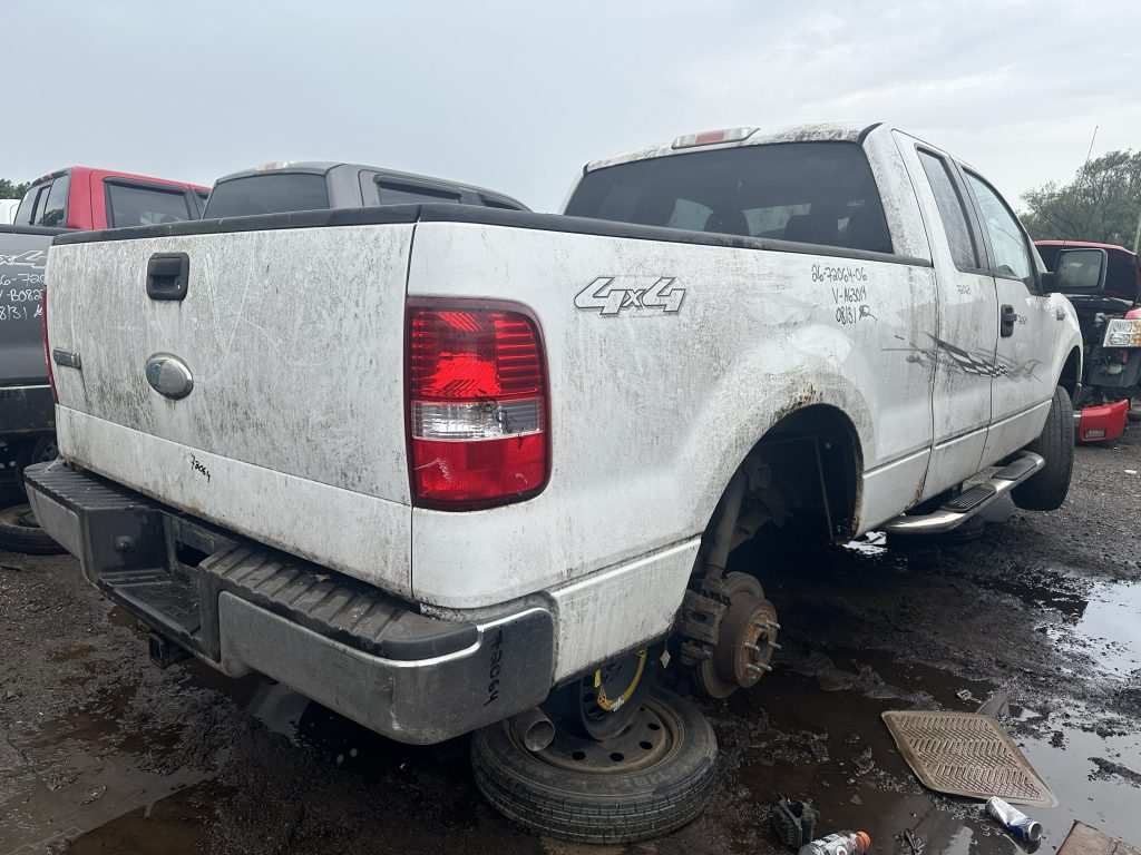 FORD F-150 2006