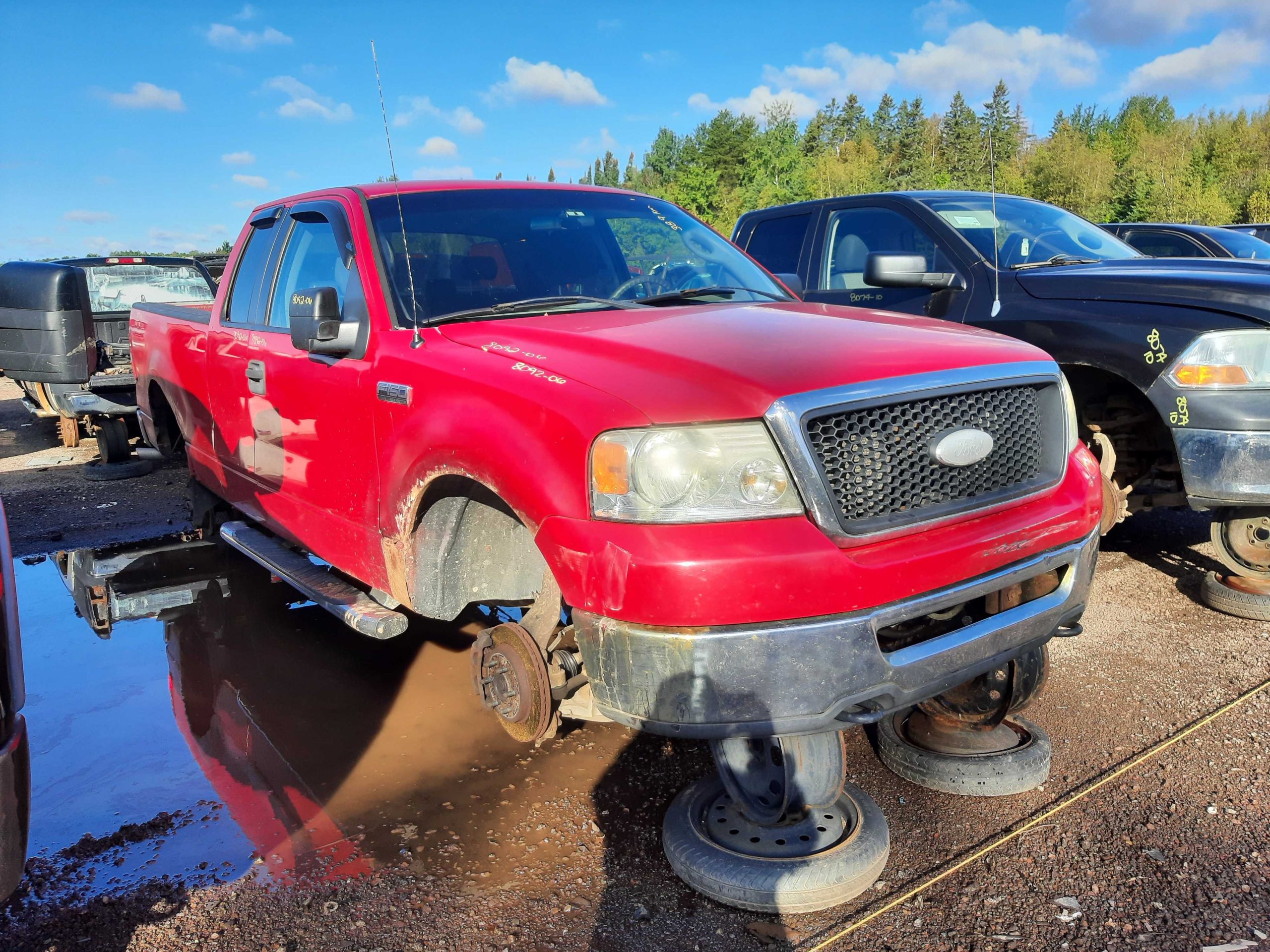 FORD F-150 2006