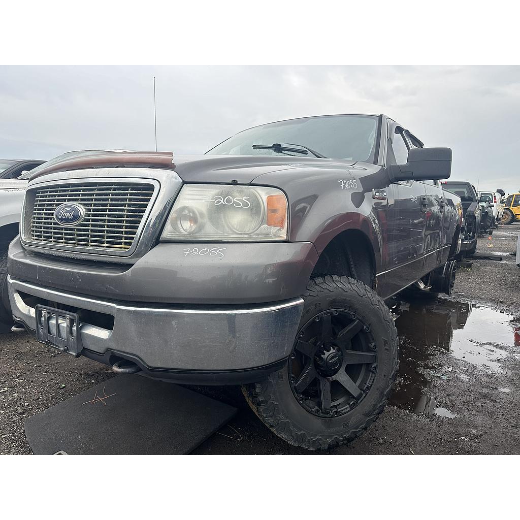 FORD F-150 2006