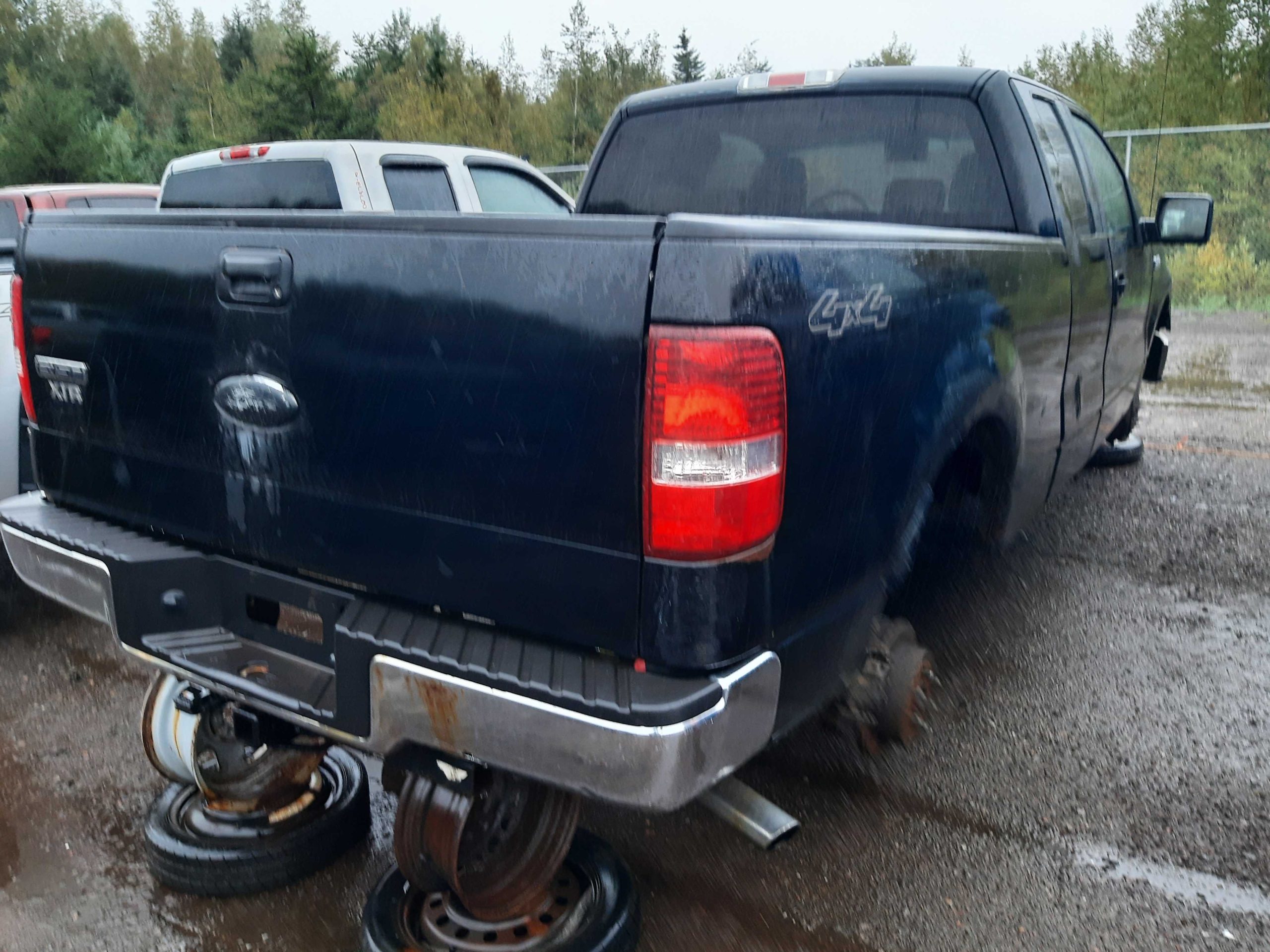 FORD F-150 2006