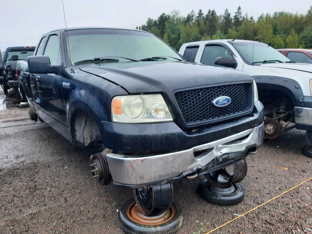 FORD F-150 2006