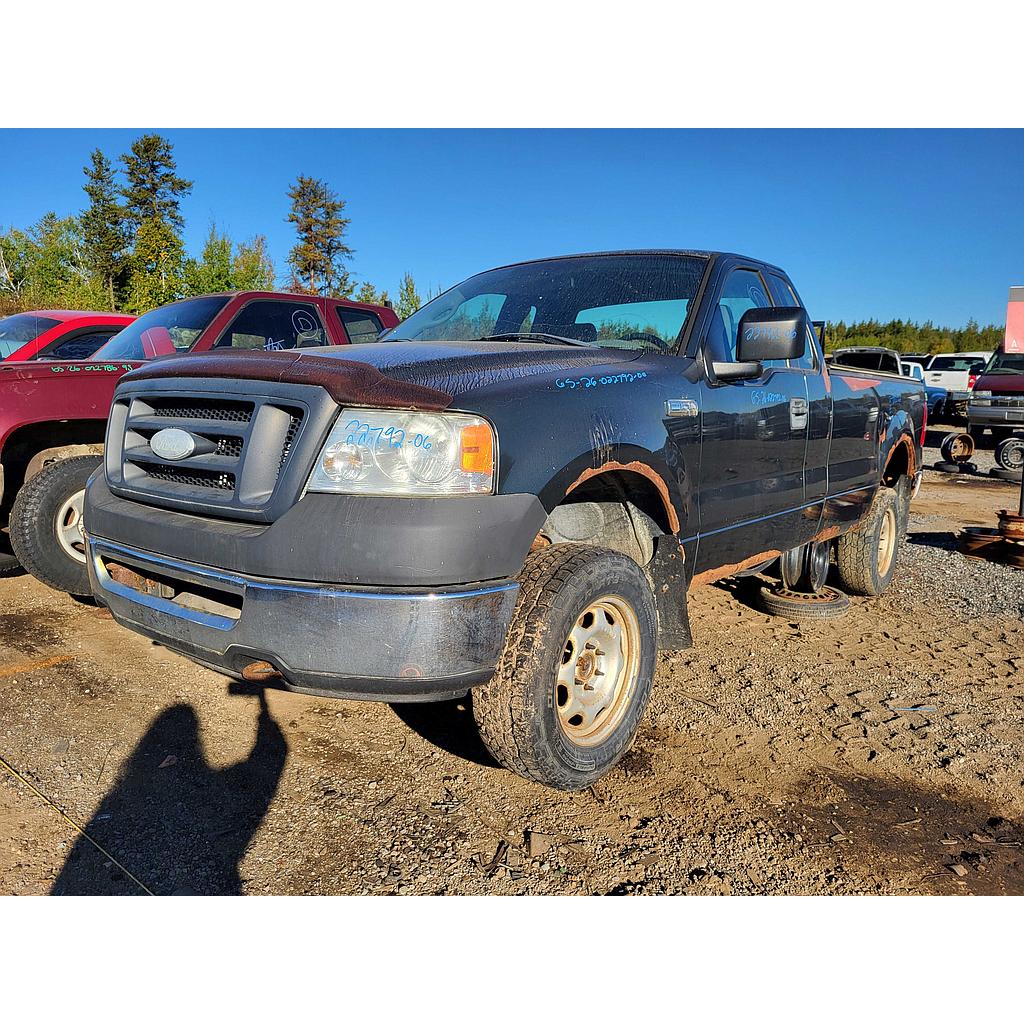 FORD F-150 2006