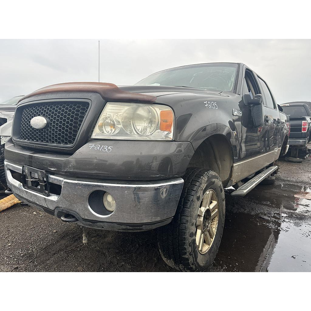 FORD F-150 2007