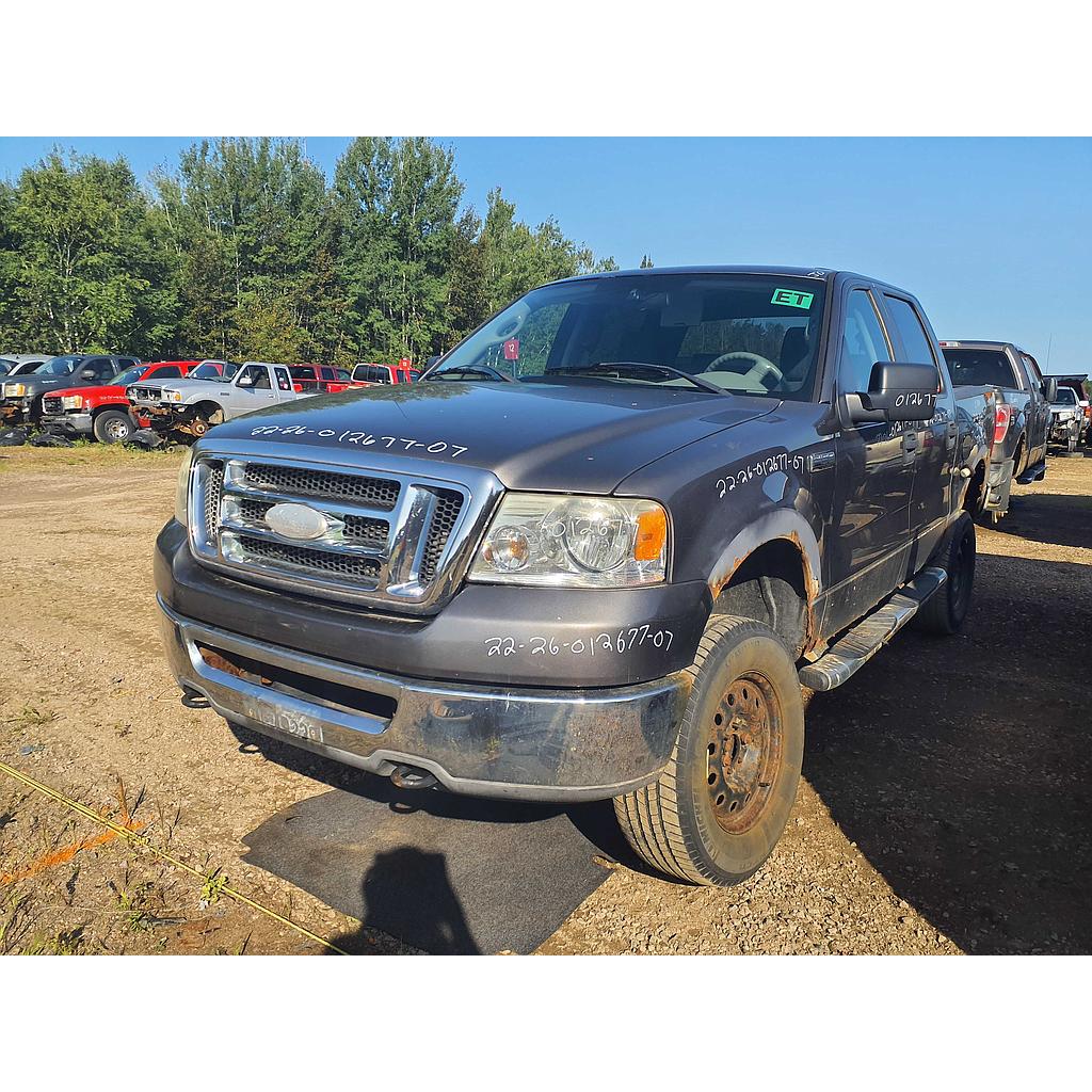 FORD F-150 2007