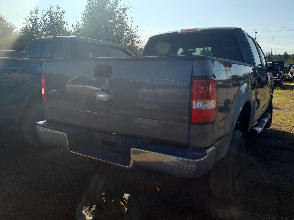 FORD F-150 2007
