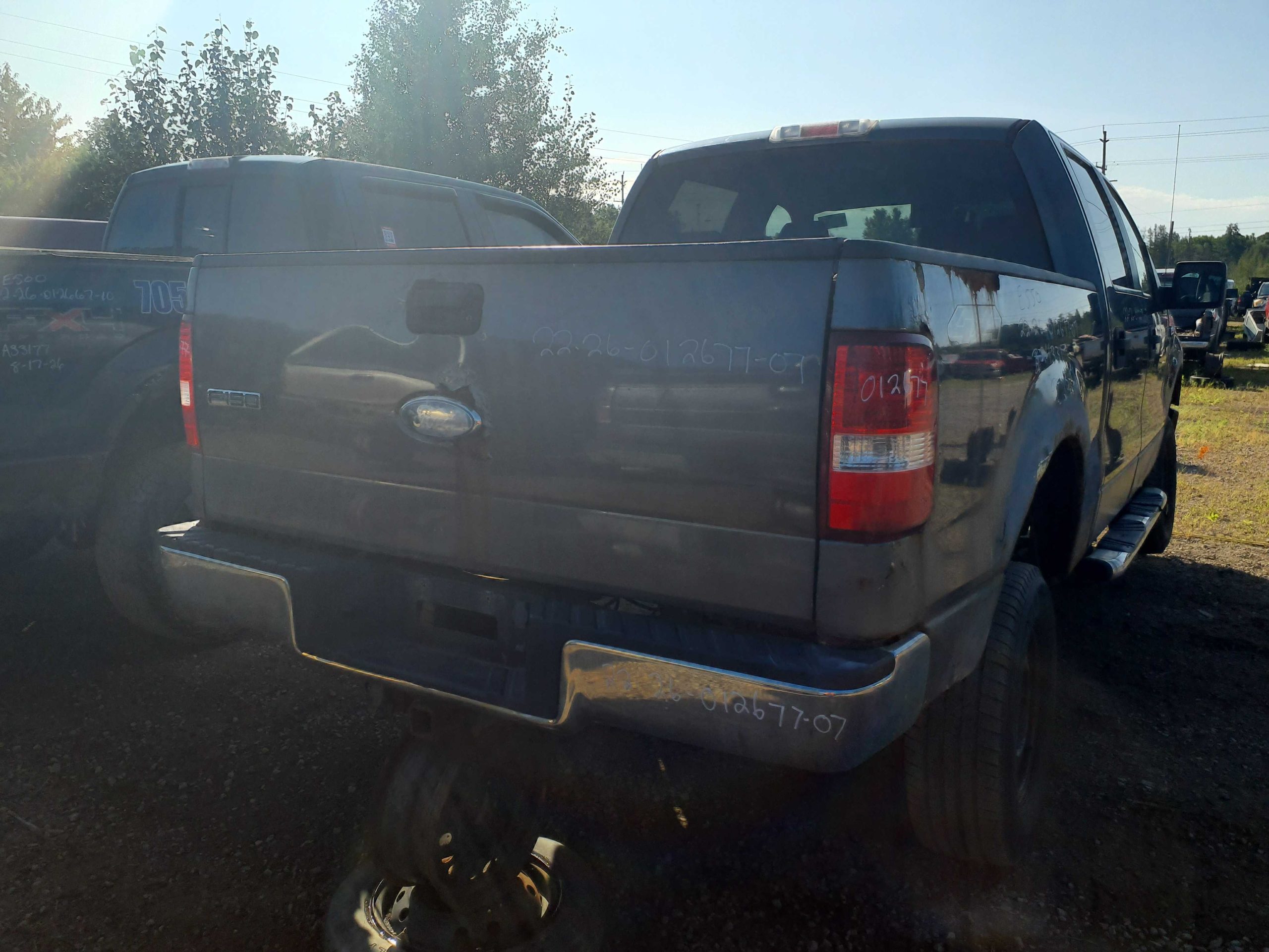 FORD F-150 2007