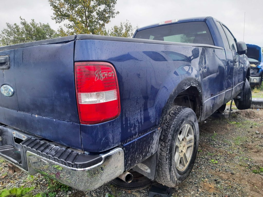 FORD F-150 2007