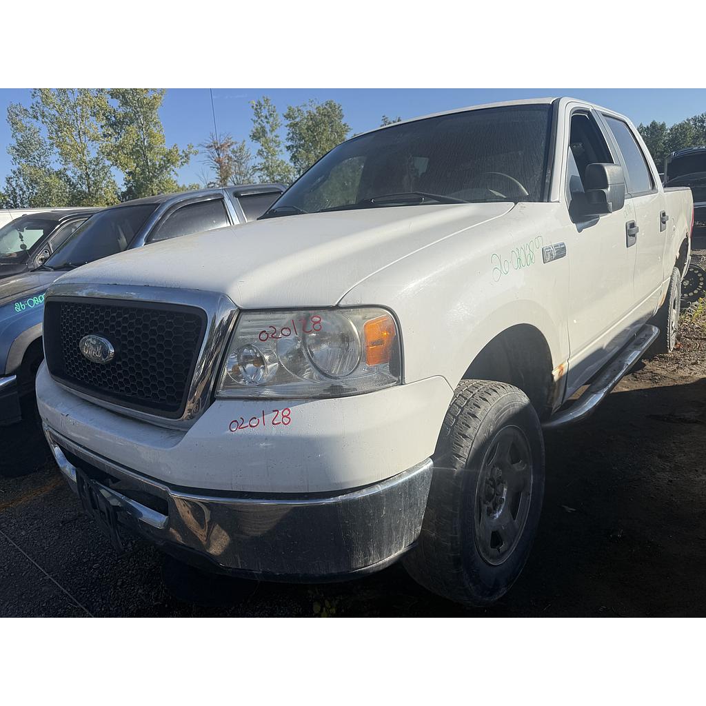 FORD F-150 2007