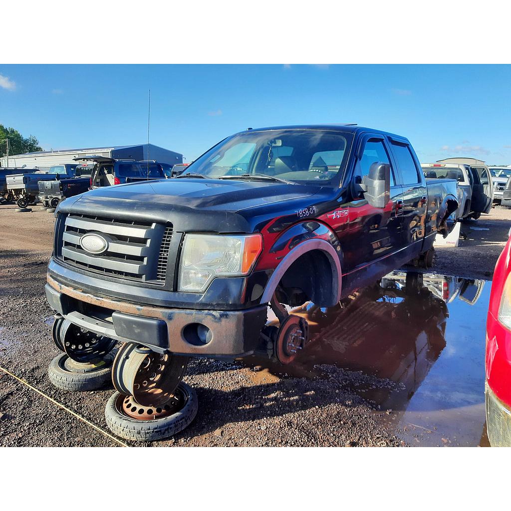 FORD F-150 2009