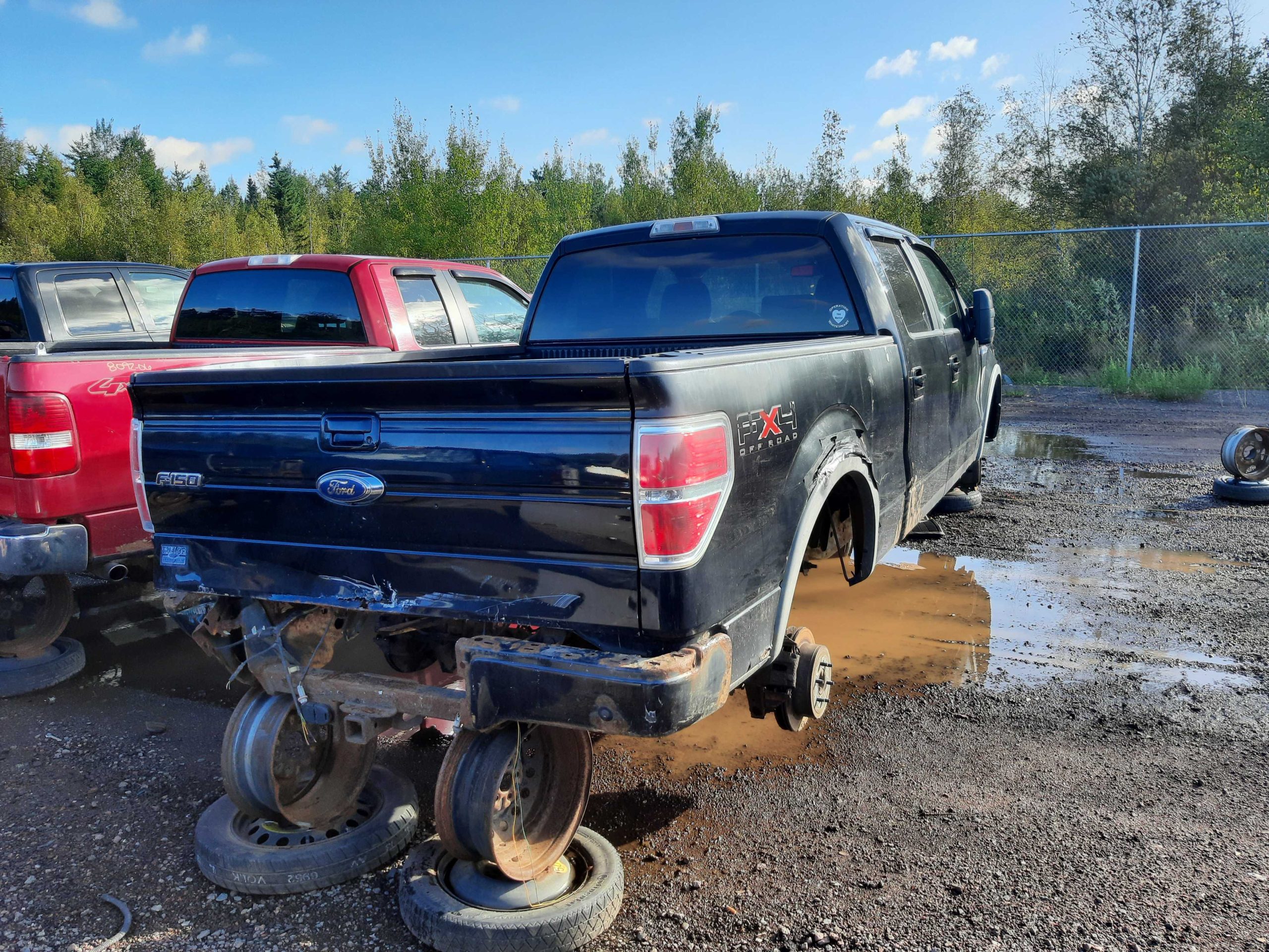 FORD F-150 2009