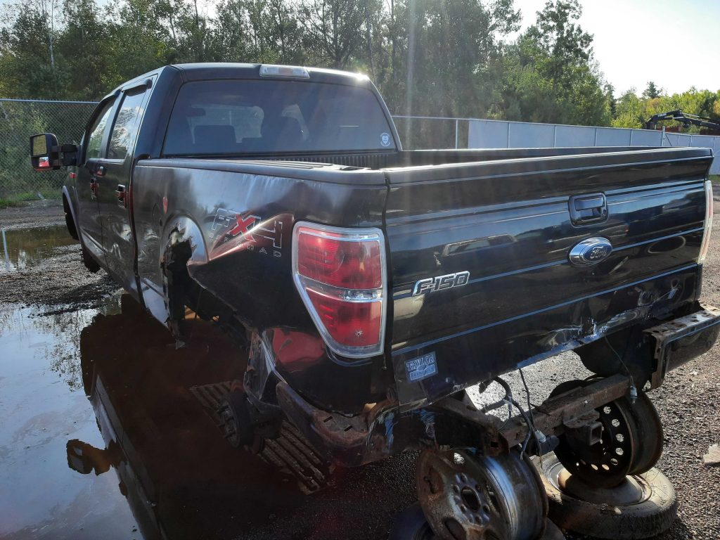 FORD F-150 2009