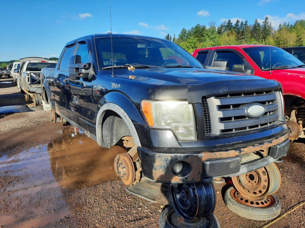 FORD F-150 2009