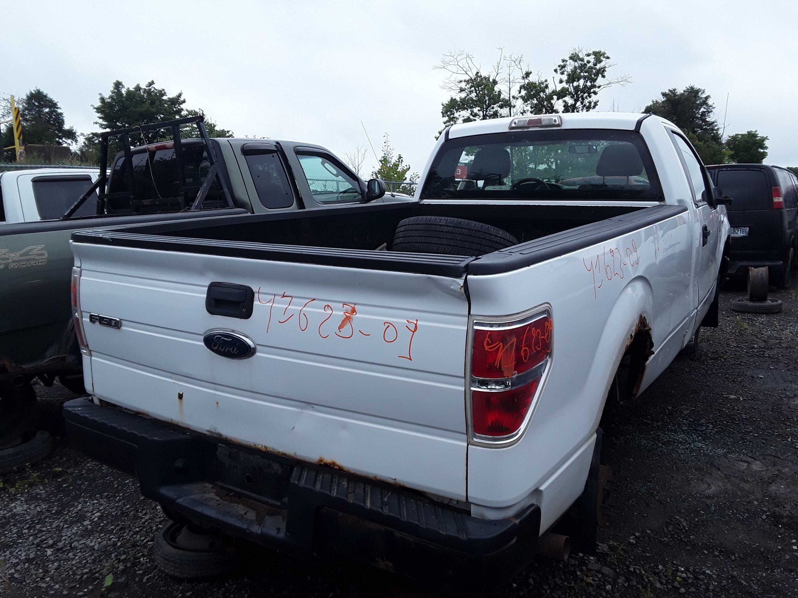FORD F-150 2009