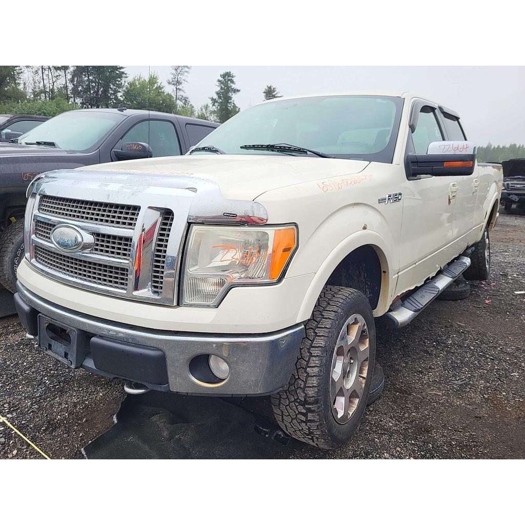 FORD F-150 2009