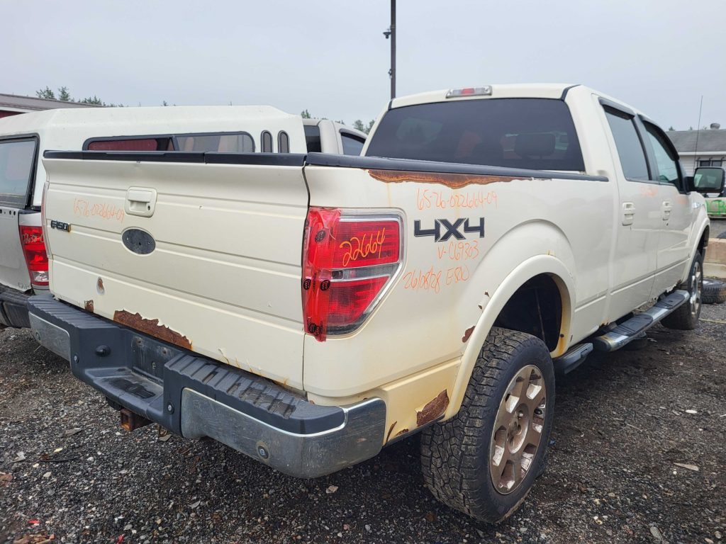 FORD F-150 2009