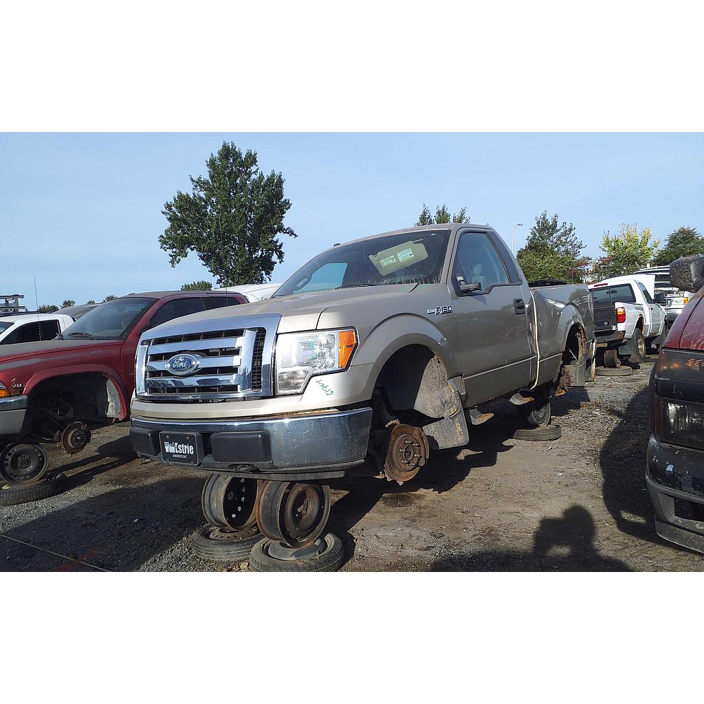FORD F-150 2009