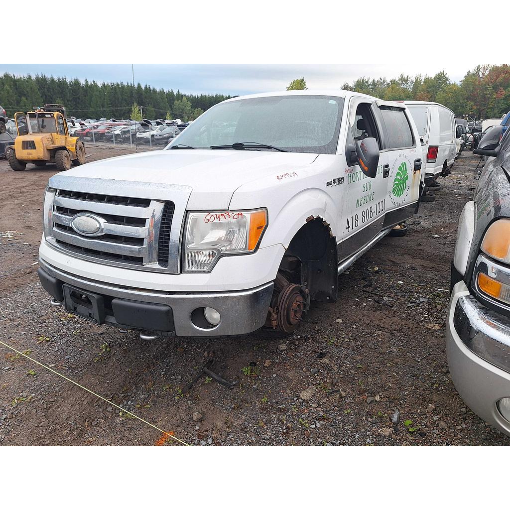 FORD F-150 2009