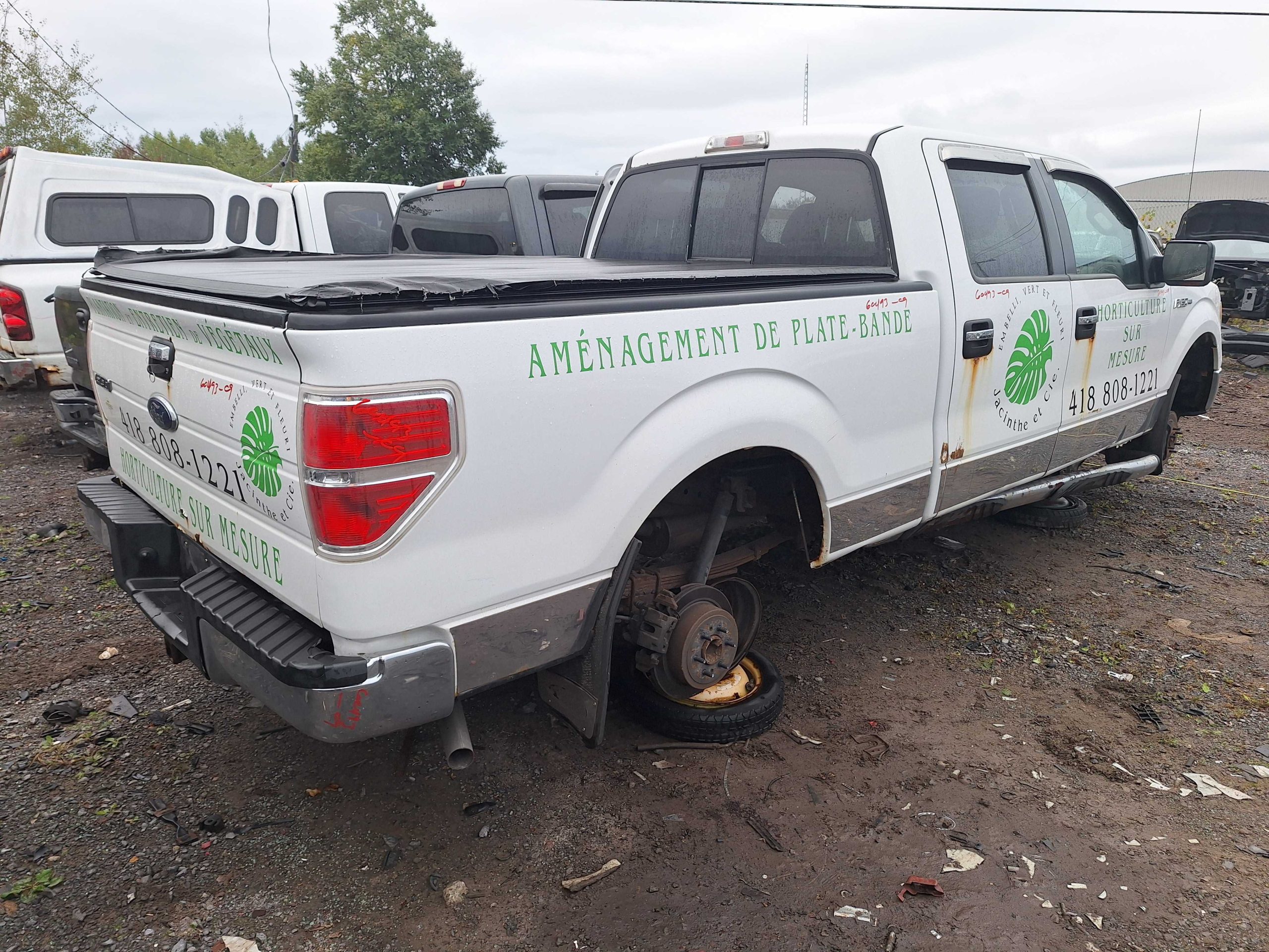 FORD F-150 2009