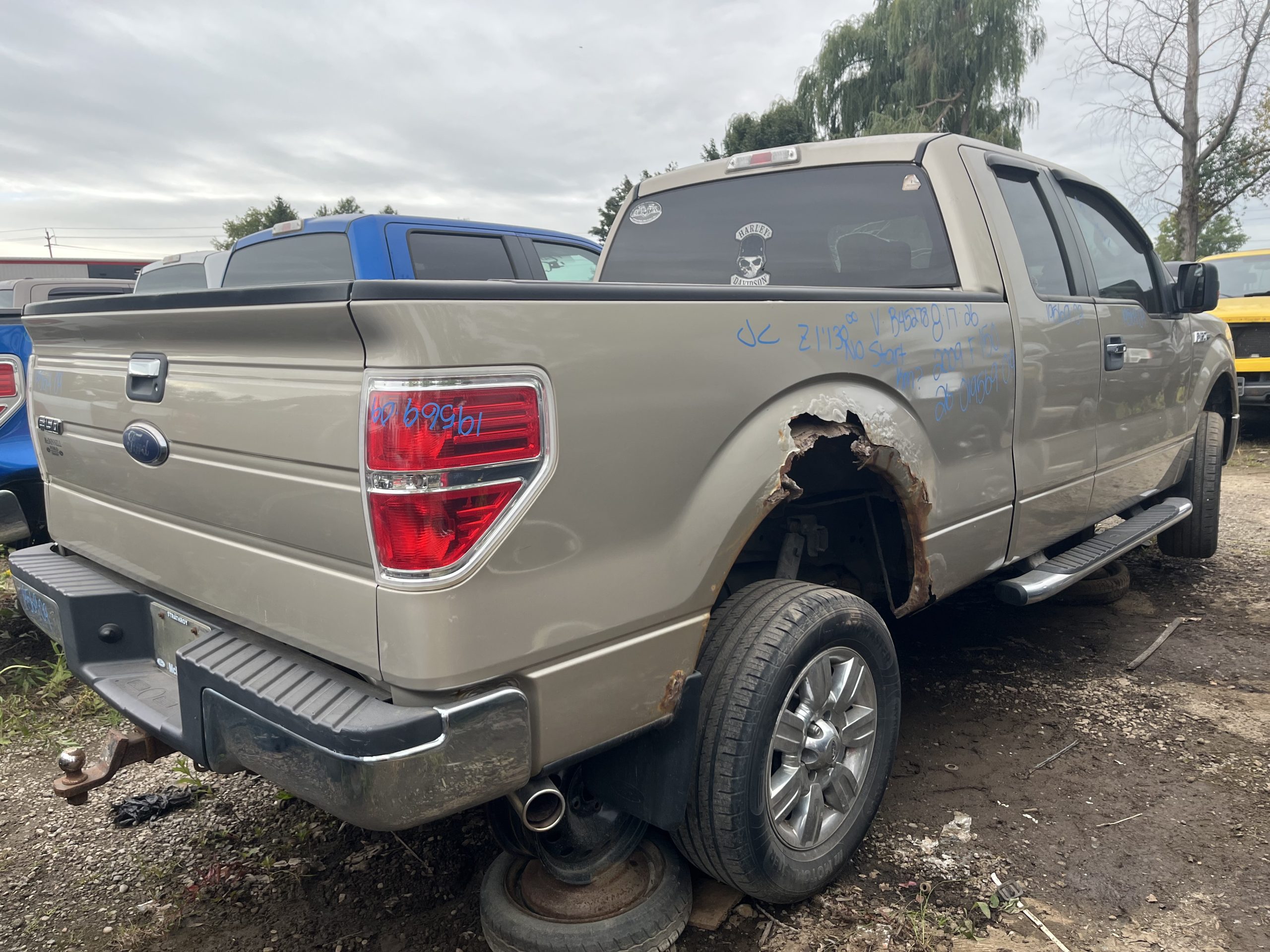 FORD F-150 2009